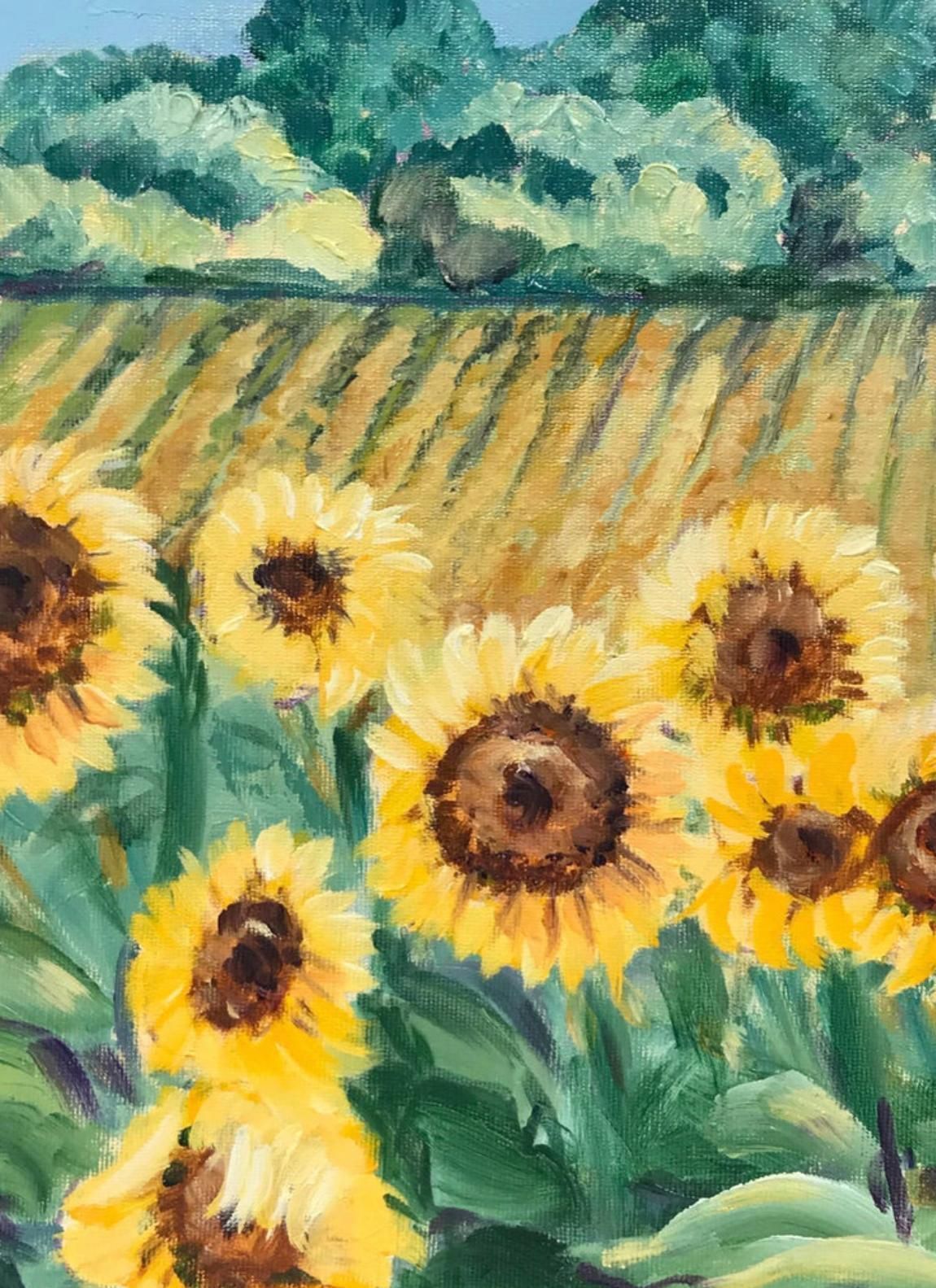 Unknownbright And Colourful Sunflowers In Provence2000 photo for sale