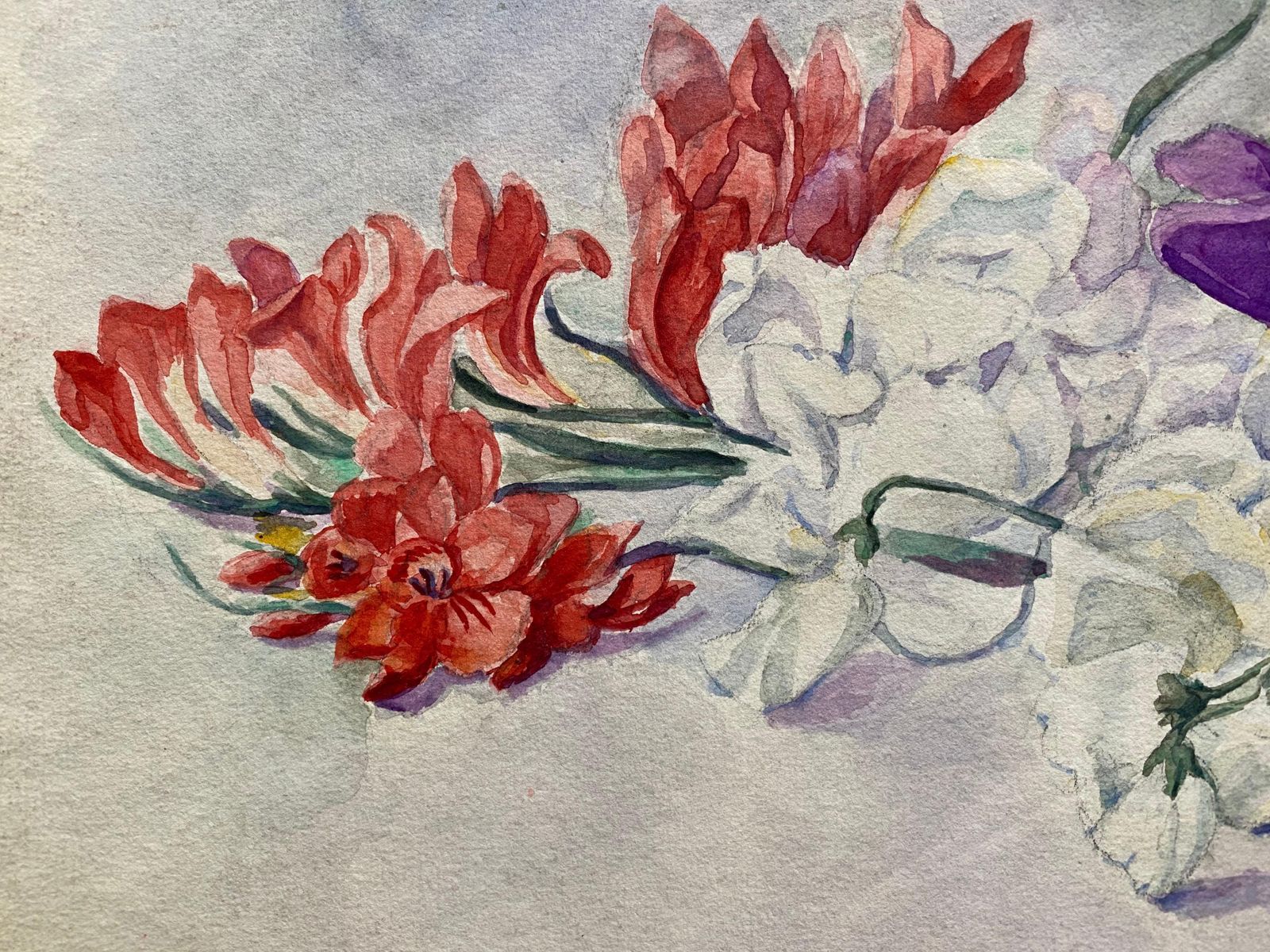 Unknownearly 1900's French Impressionist Signed Flower Watercolour By Marie Carreaucirca 1900s photo 198.0