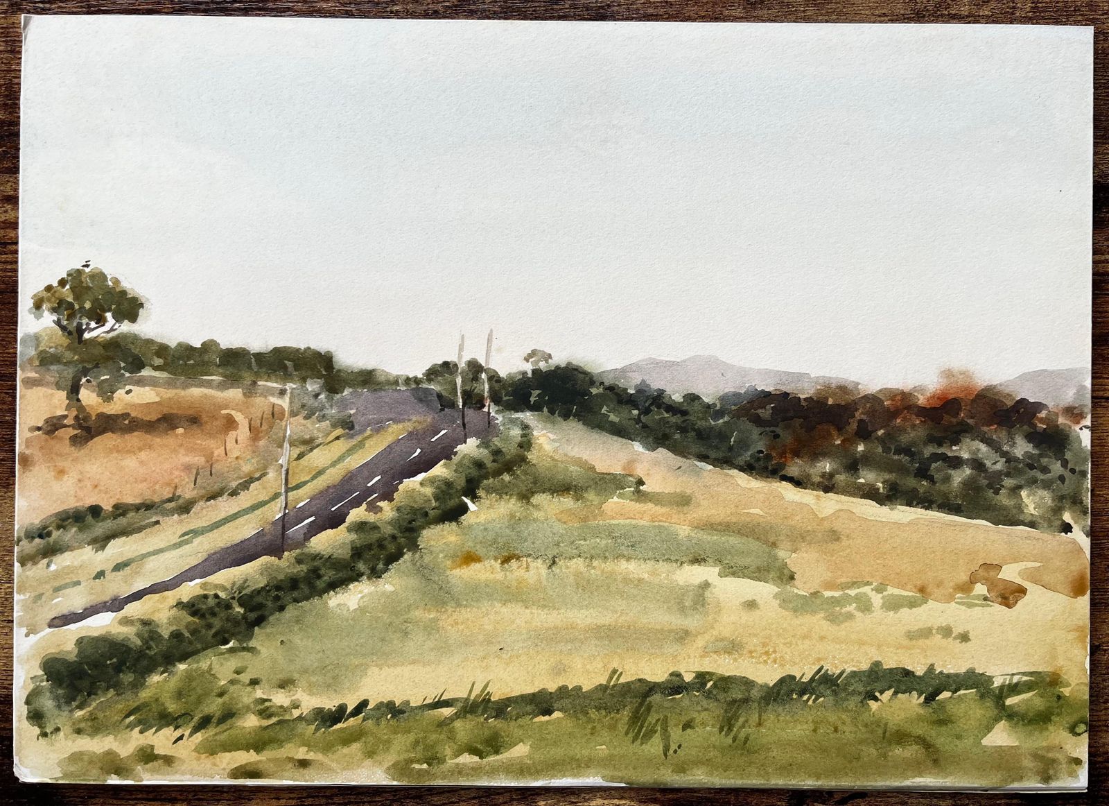 Anthony Herbertwelsh Road And Hillside Summer Landscape North Wales 1976 Watercolour1976 photo furniture