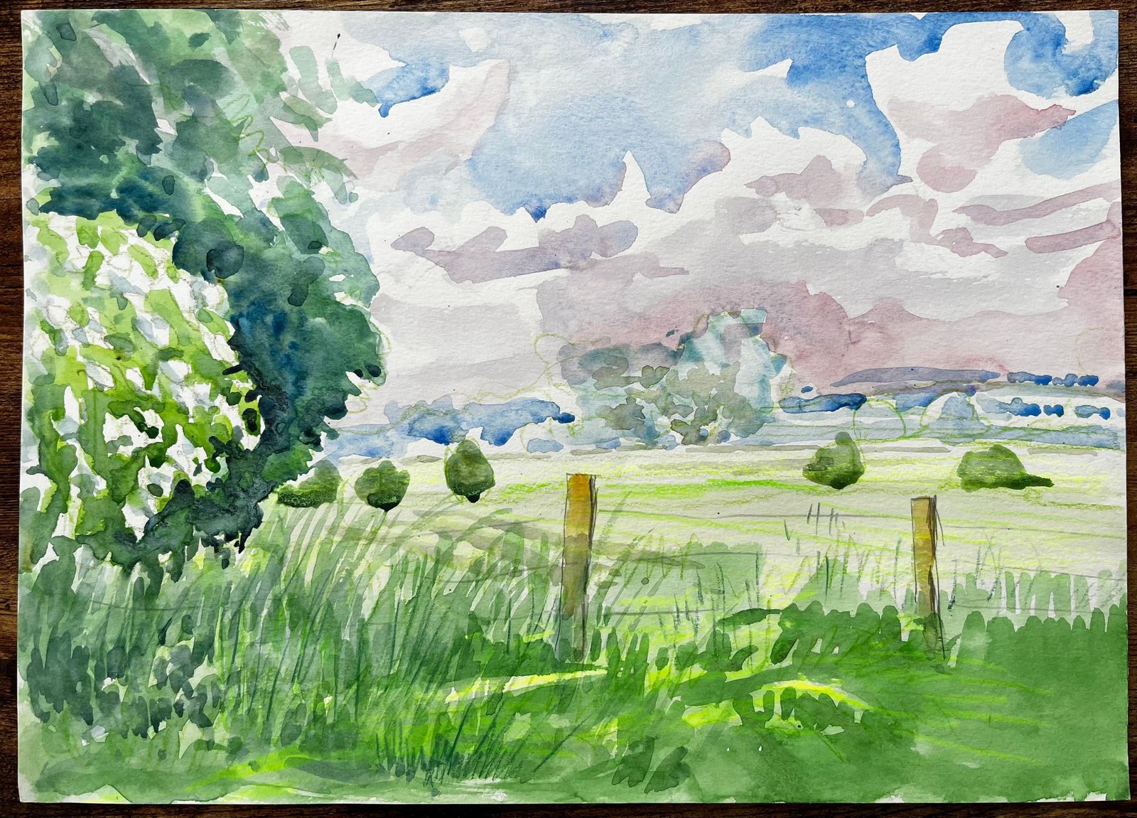 John Steane (B.1931)cuttleslowe Oxford Landscape With Trees Meadow And Summer Sky photo furniture