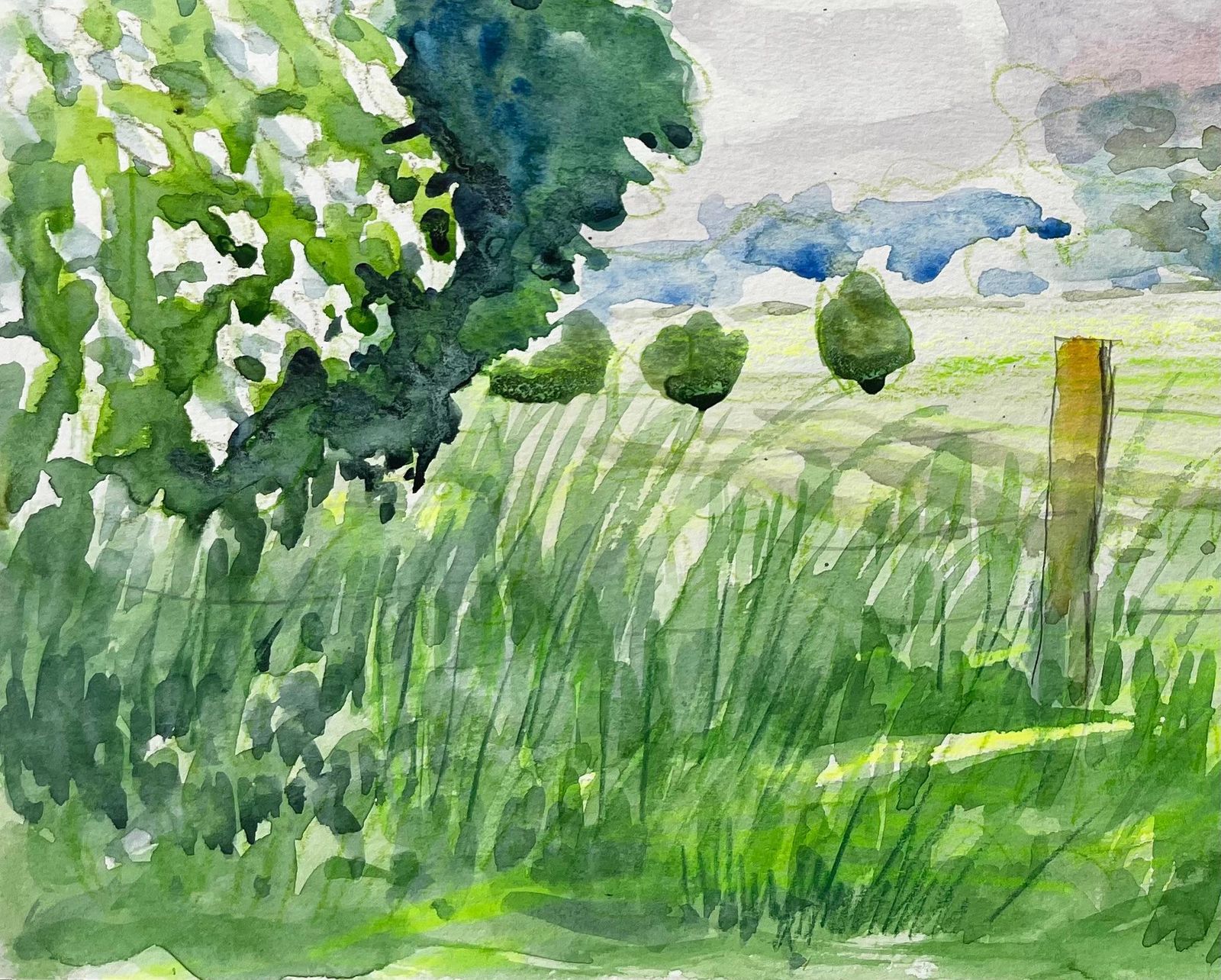 John Steane (B.1931)cuttleslowe Oxford Landscape With Trees Meadow And Summer Sky photo Art
