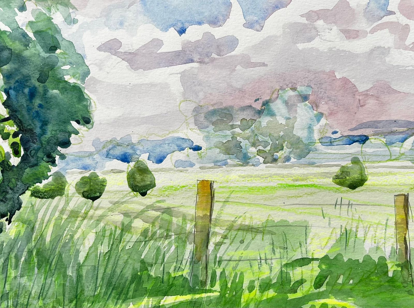 John Steane (B.1931)cuttleslowe Oxford Landscape With Trees Meadow And Summer Sky photo buy
