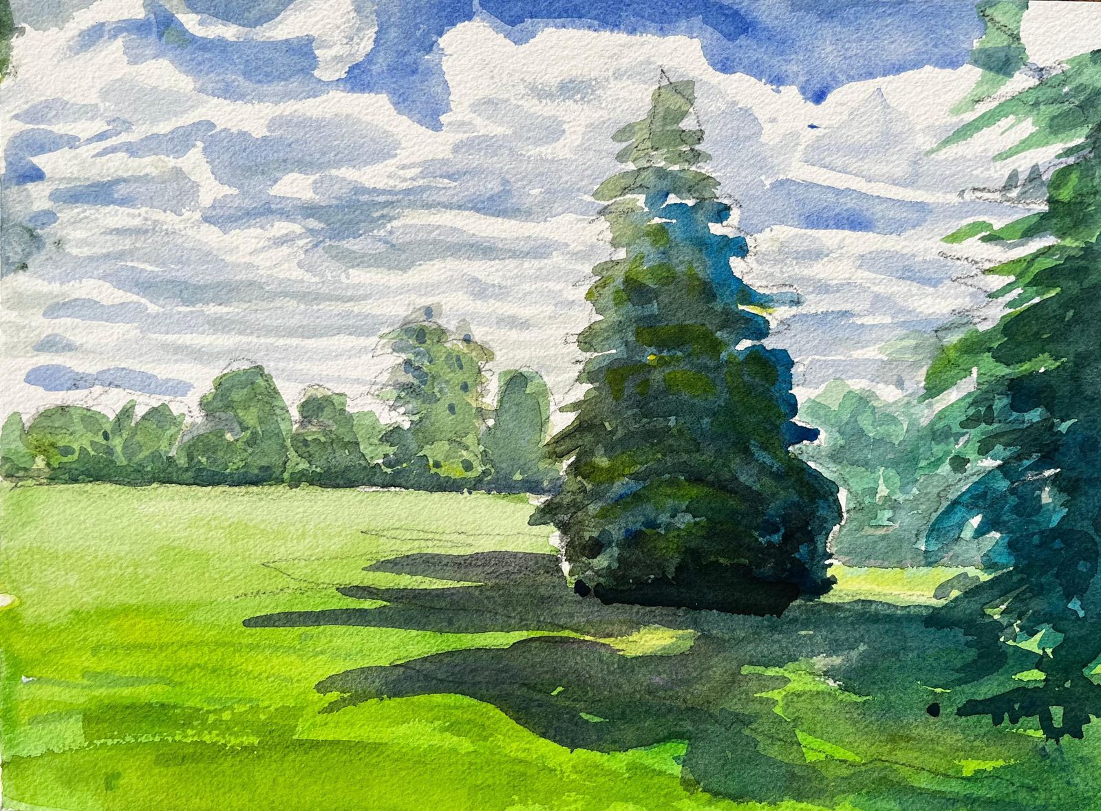 John Steane (B.1931)university Parks Oxford Landscape With Pine Tree And Summer Shadows