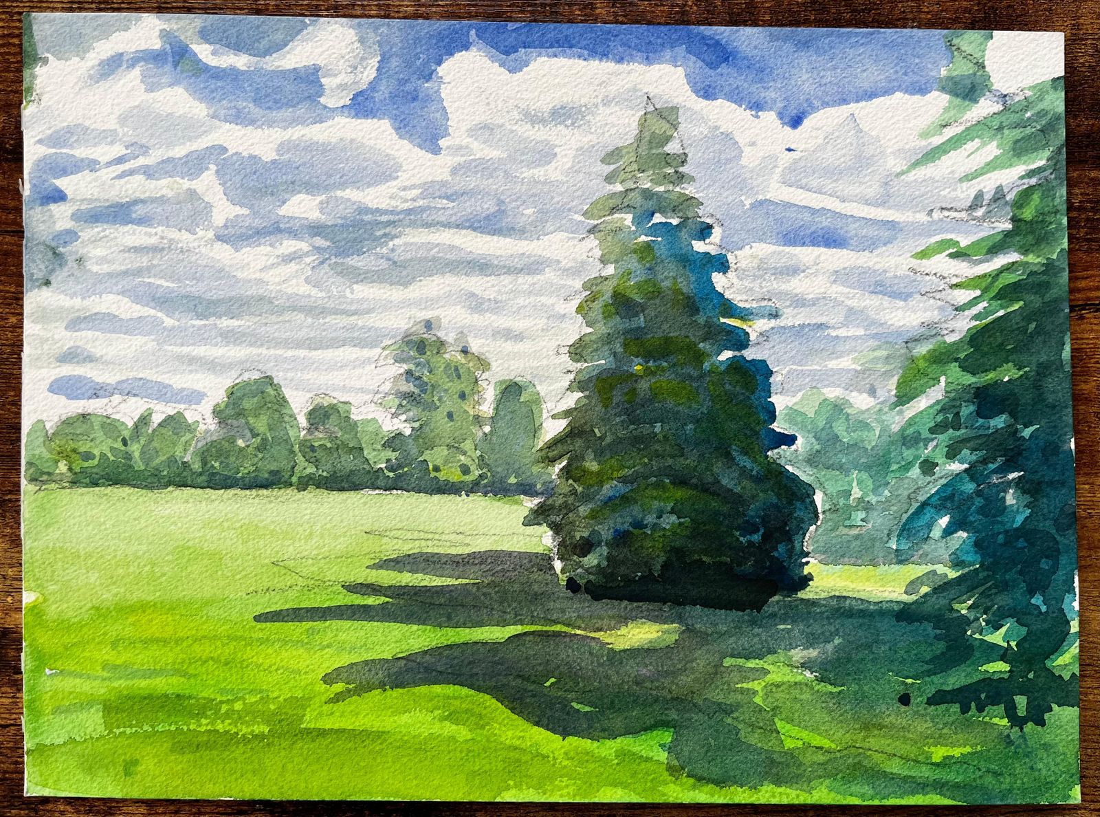 John Steane (B.1931)university Parks Oxford Landscape With Pine Tree And Summer Shadows photo furniture