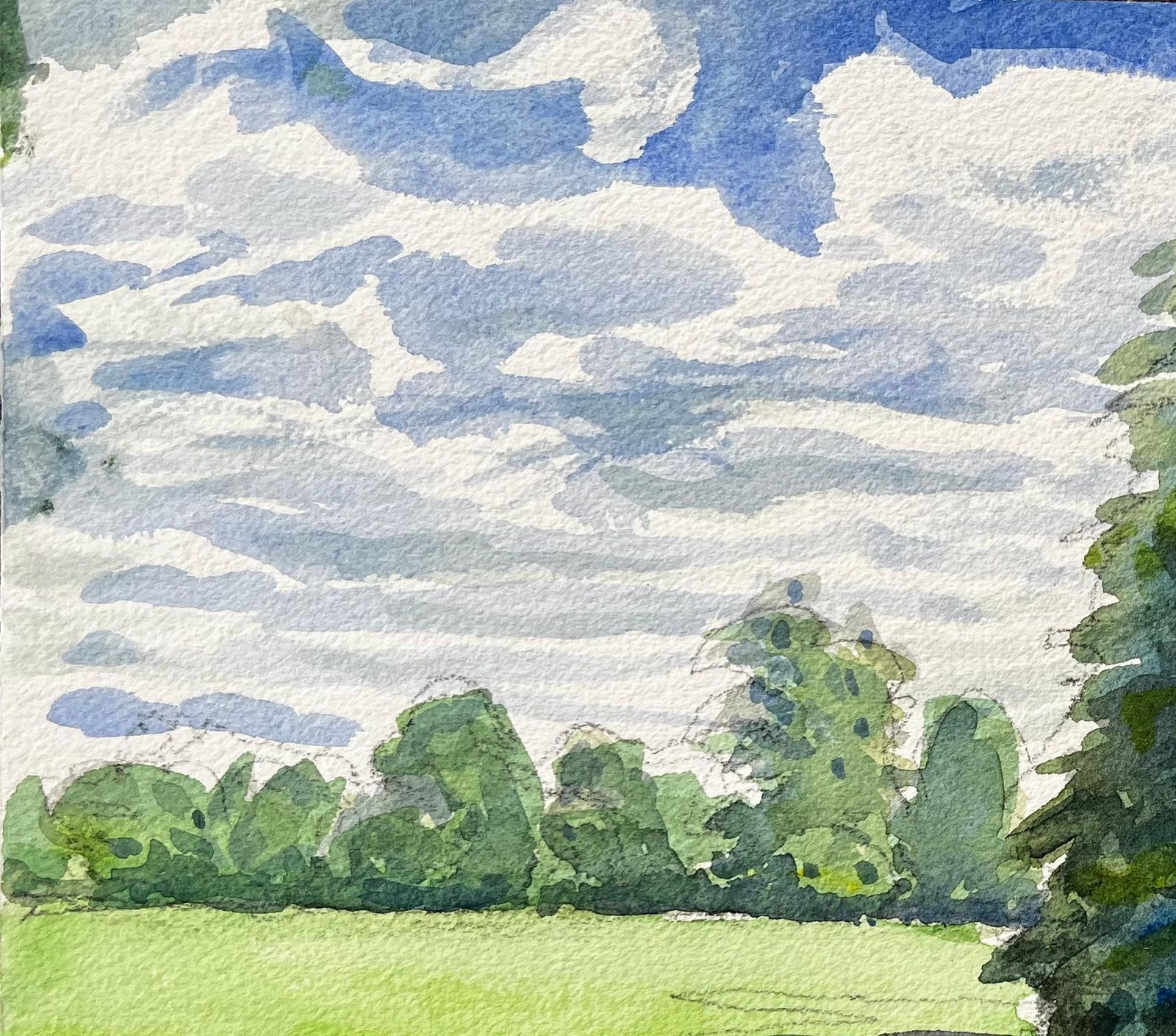 John Steane (B.1931)university Parks Oxford Landscape With Pine Tree And Summer Shadows photo vinterior