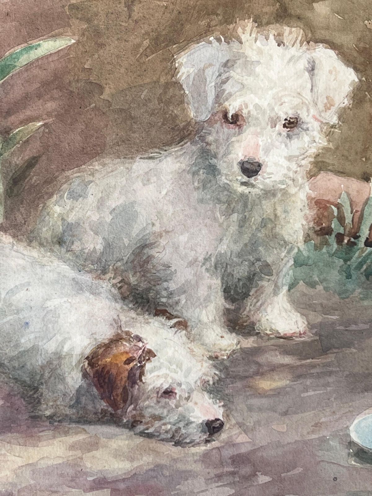 1930's English Artist1930's English Dog Painting Wire Fox Terrier Puppies Waiting To Be Fed Signed1936 photo Art