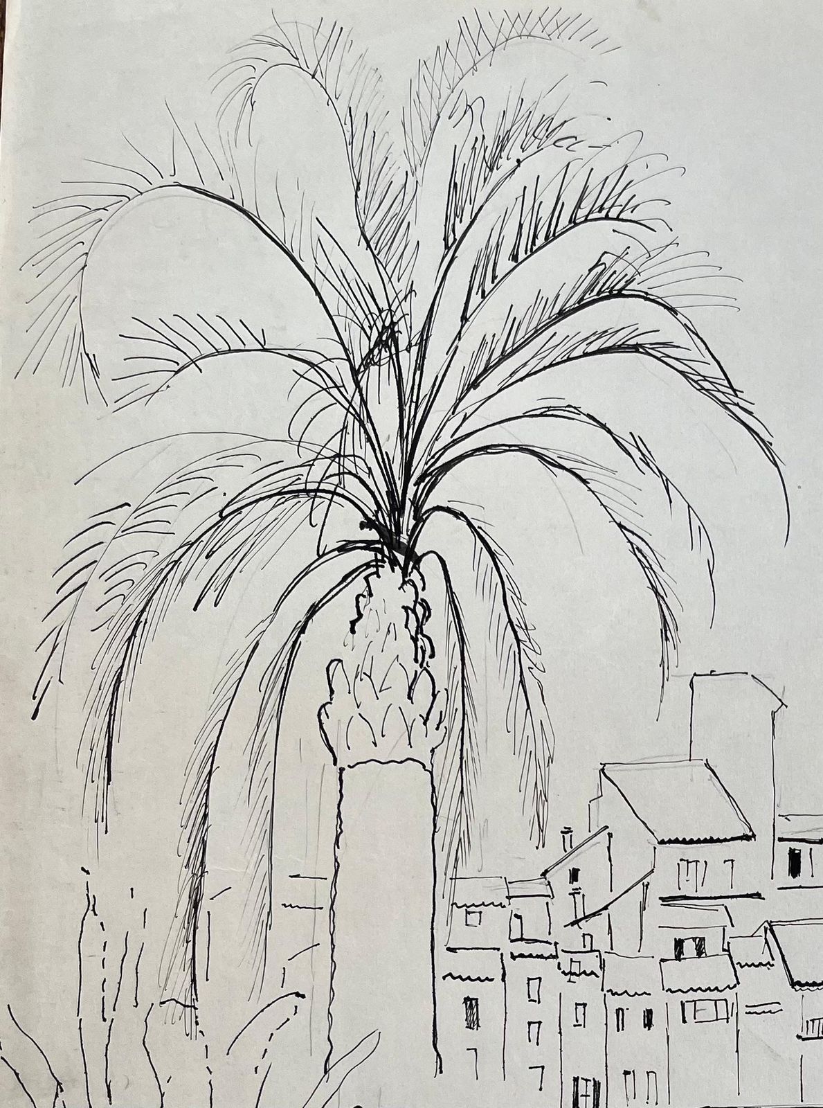 Anne Marie Migette Perardmid 20th Century Post Impressionist Drawing Of Antibes With Palm Tree And Cacti photo for sale