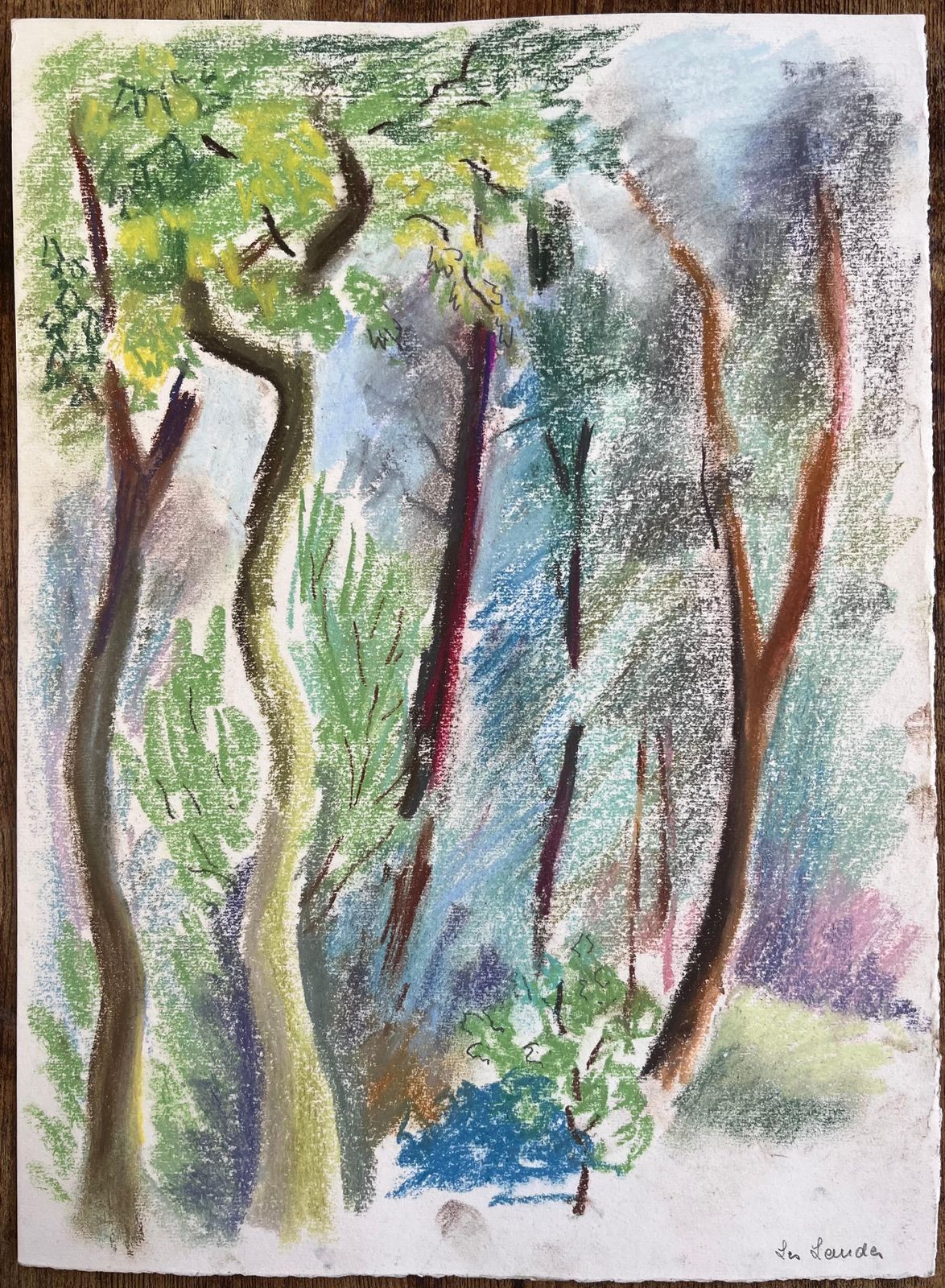 Anne Marie Migette Perardmid 20th Century French Pastel Landscape Of Forest Trees In Les Laudes photo furniture