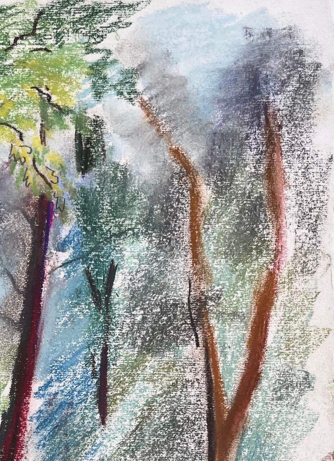 Anne Marie Migette Perardmid 20th Century French Pastel Landscape Of Forest Trees In Les Laudes photo Art