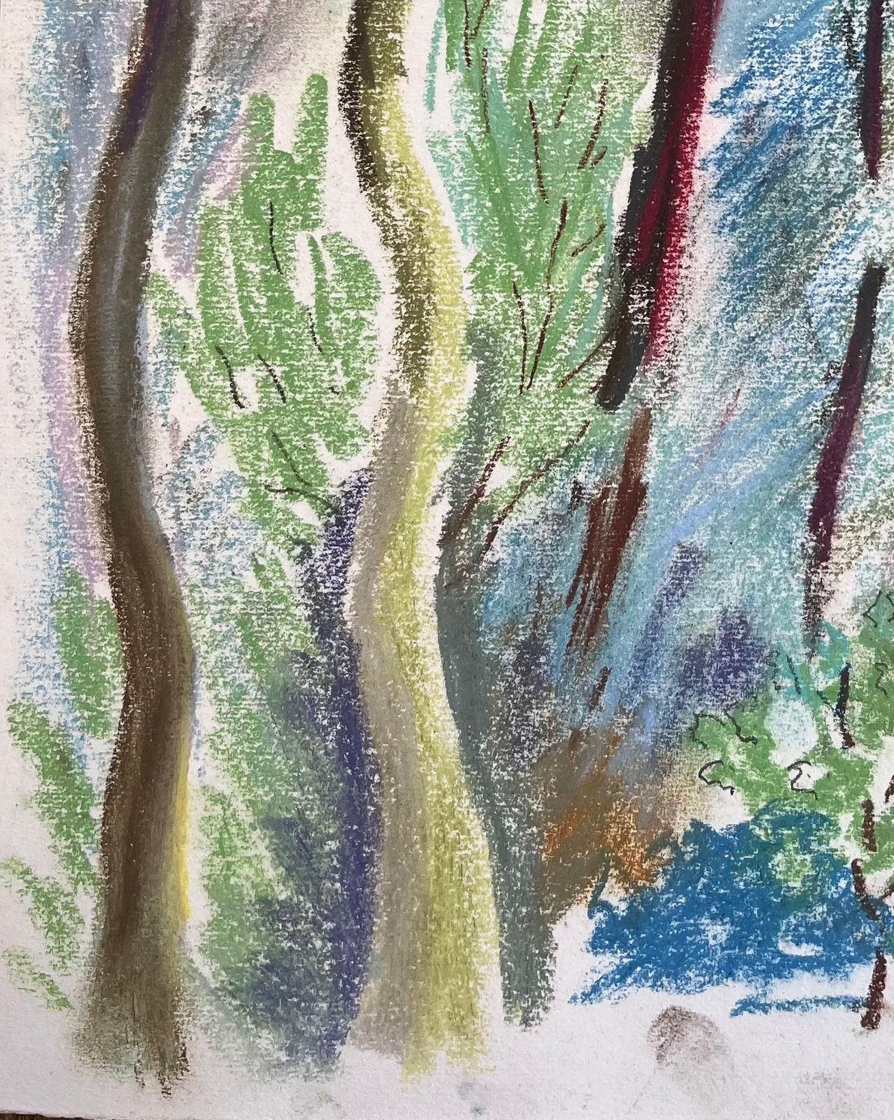 Anne Marie Migette Perardmid 20th Century French Pastel Landscape Of Forest Trees In Les Laudes photo 509.0