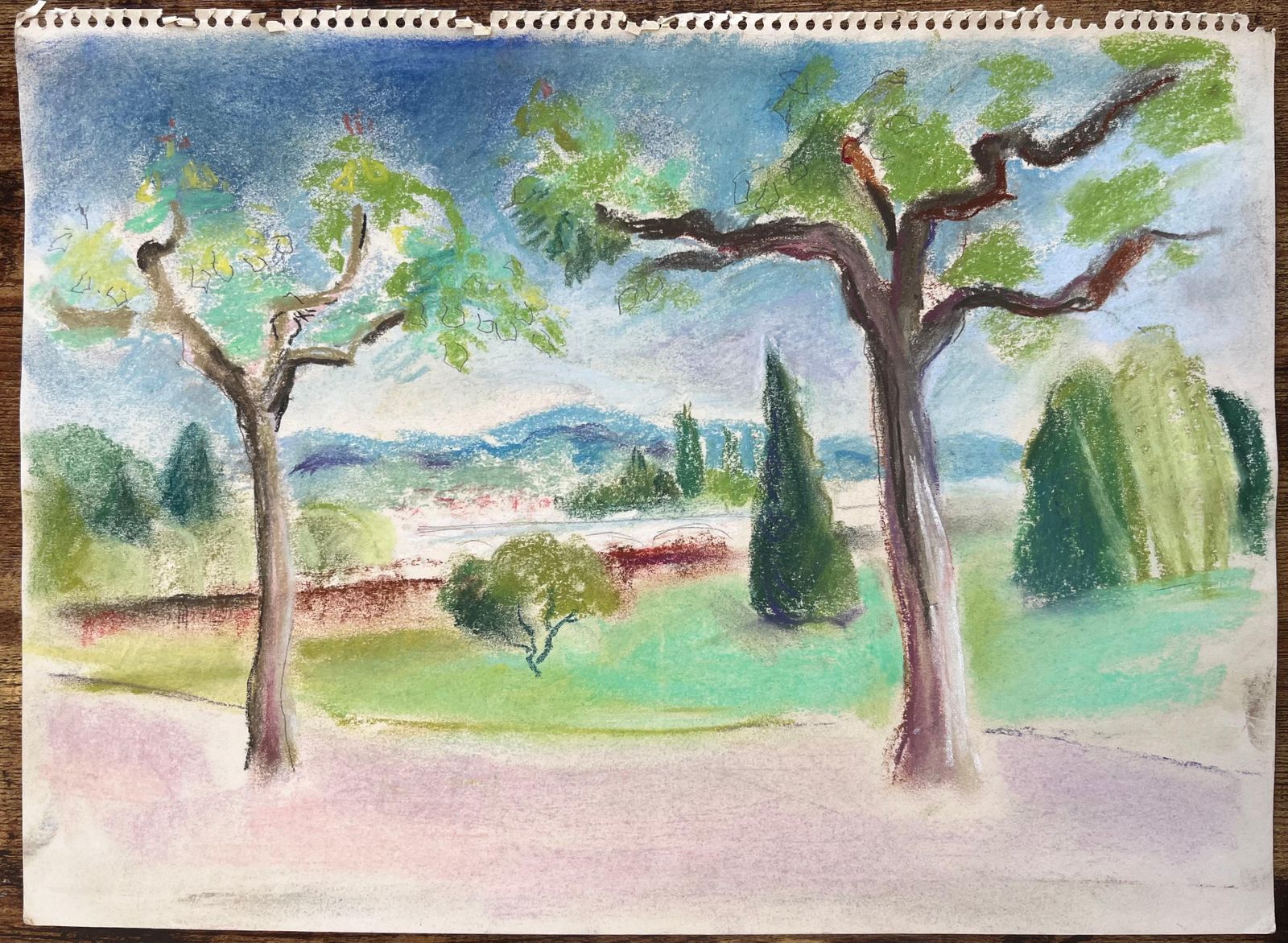 Anne Marie Migette Perardfrench Mid 20th Century Pastel Landscape Of Trees And Distant Hills photo furniture