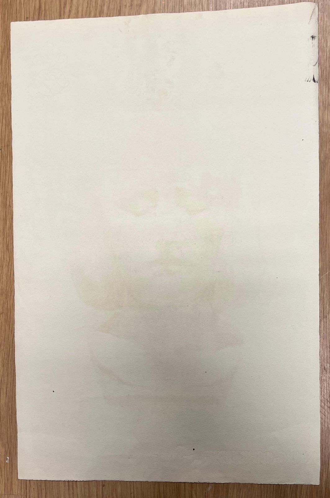 Josine Vignonmid Century French Drawing Of A Classical Bald Male Bust1945 photo vinterior