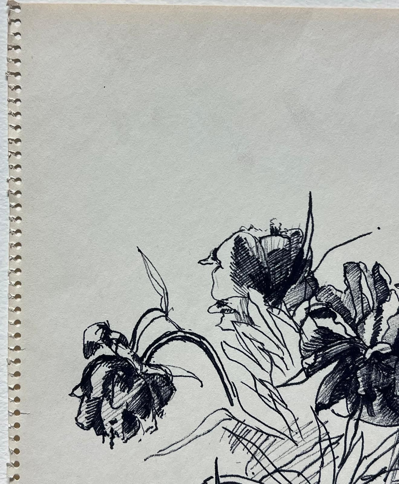 French Schooldelicate Ink Sketch Of Peonies Minimalist Floral Study photo 113.0