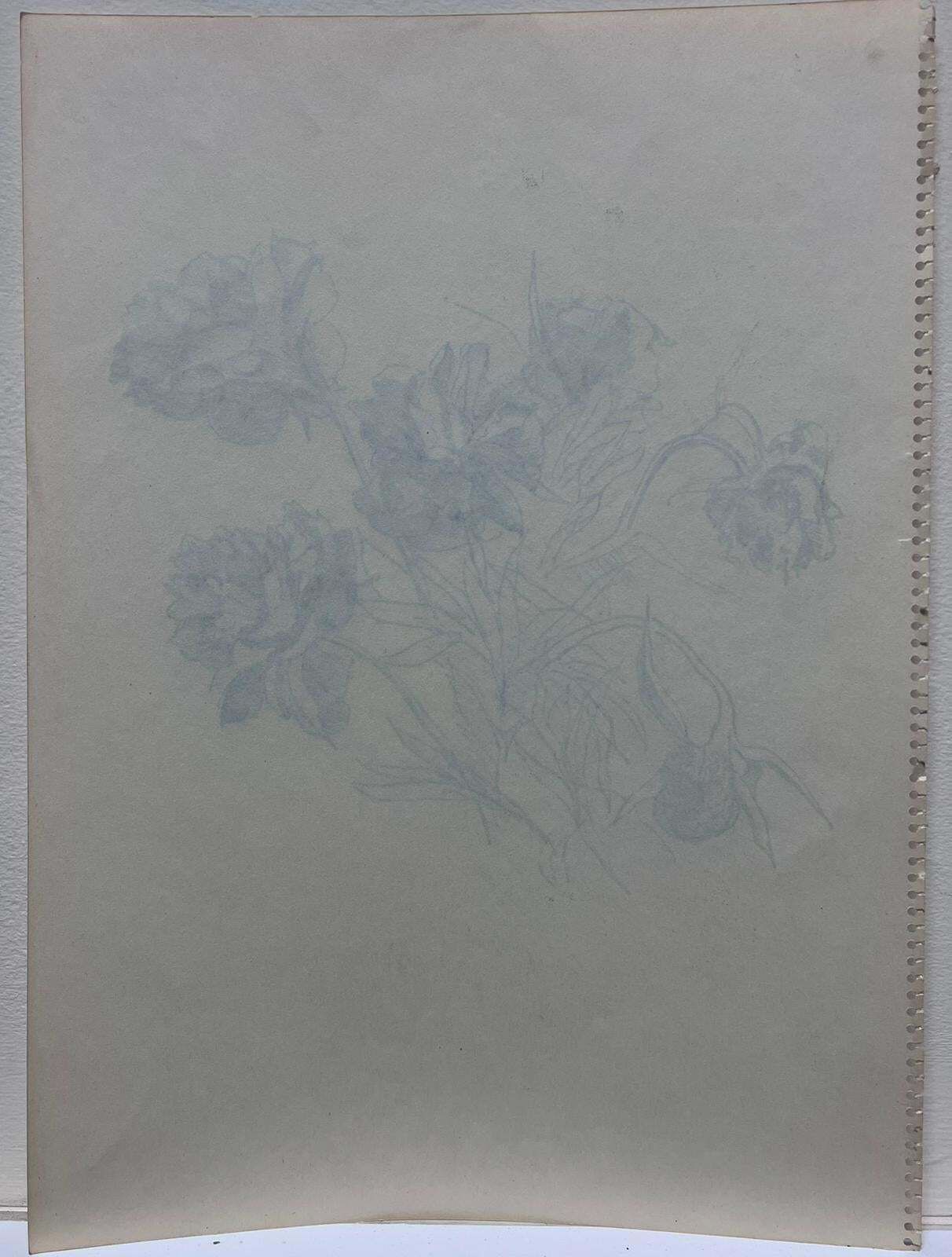 French Schooldelicate Ink Sketch Of Peonies Minimalist Floral Study photo buy