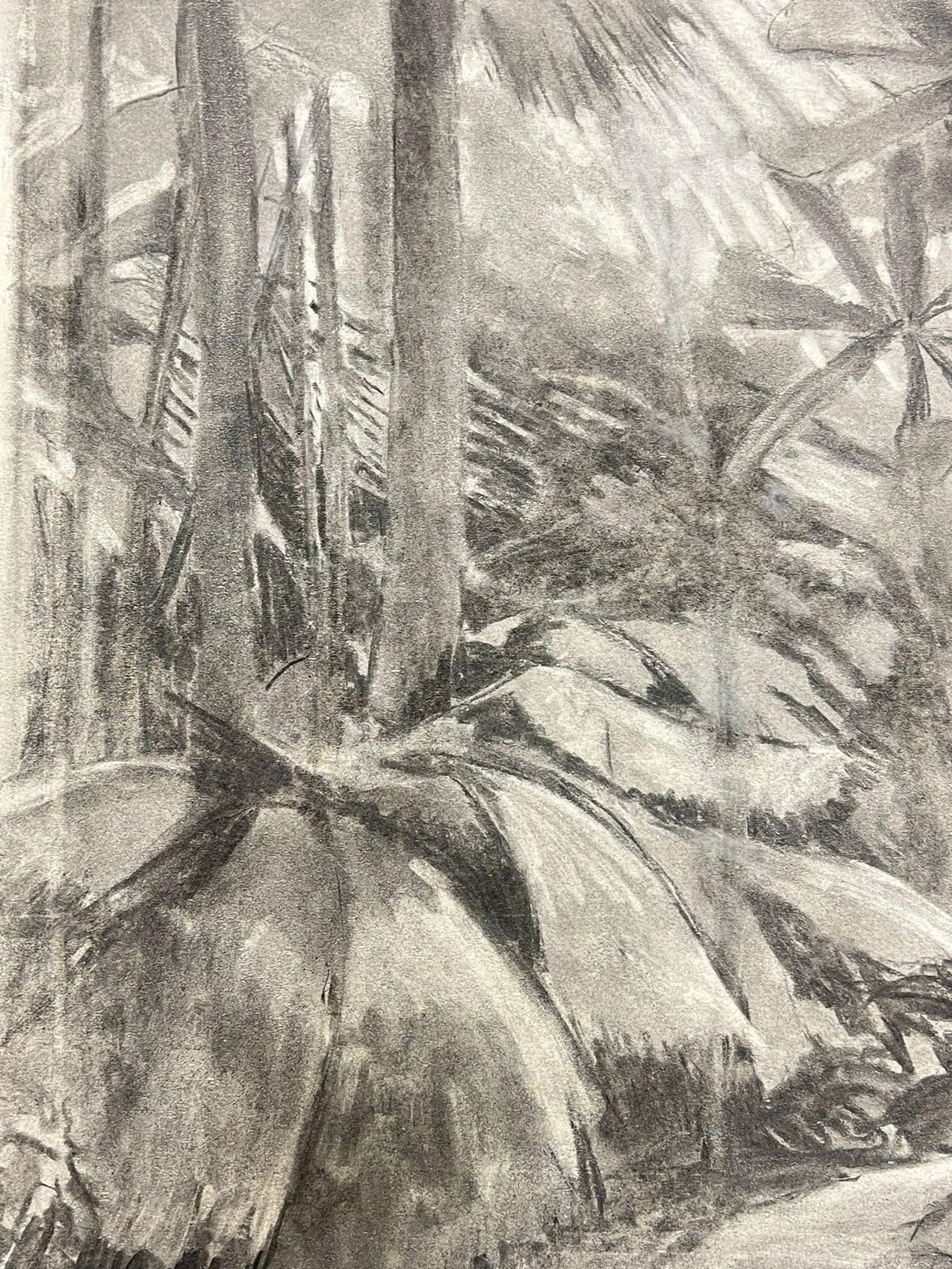 French Schoolmonochromatic Jungle Scene In Charcoal Mystery Of Tropical Wildernessmid 20th Century photo Art