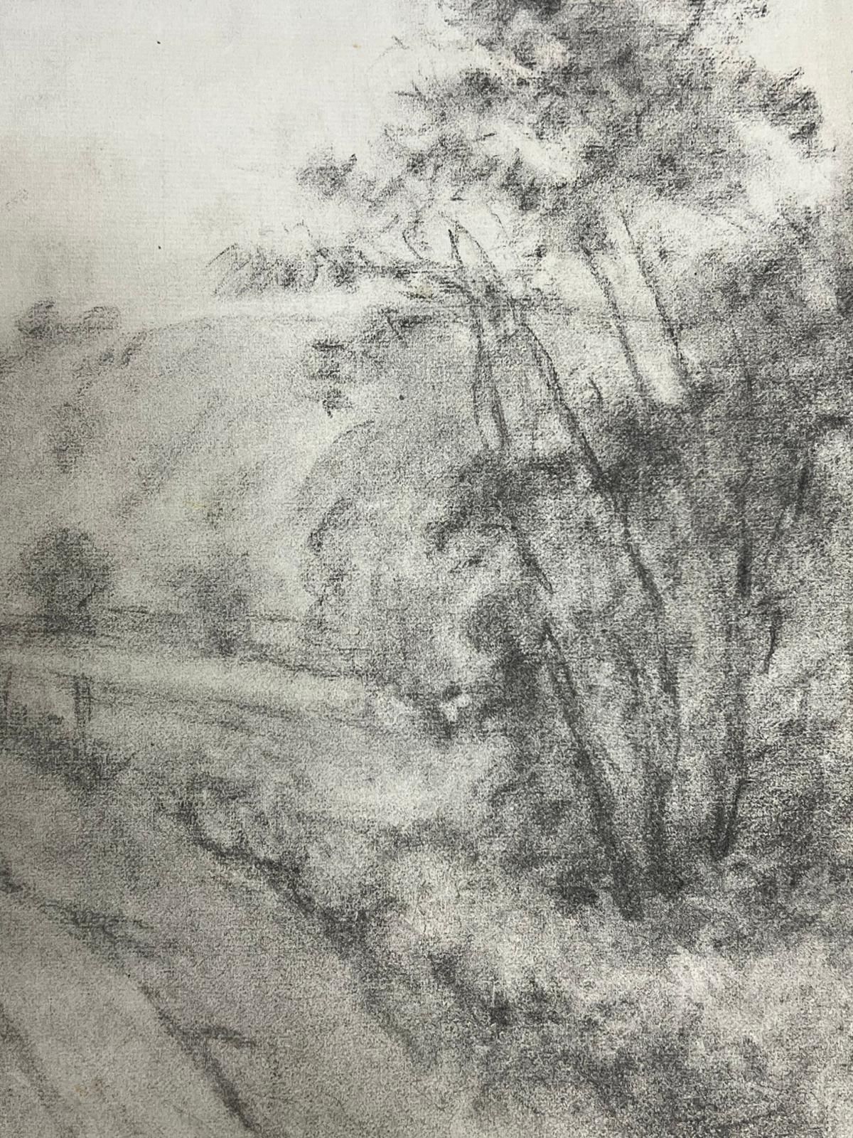 Regine Davidmisty Country Road Through Woodland Atmospheric Charcoal Landscape1957 photo vinterior