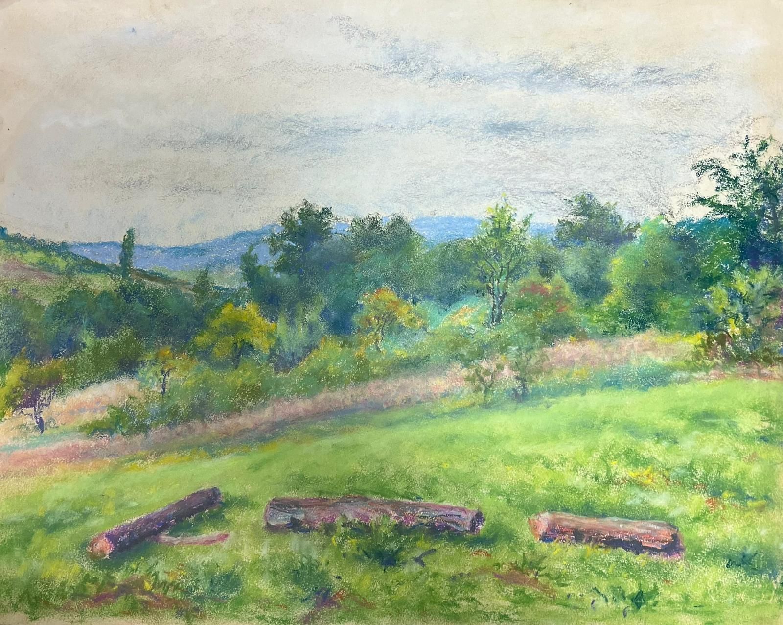 Regine Davidvintage Landscape With Rolling Hills Countryside With Vibrant Green Meadow1954
