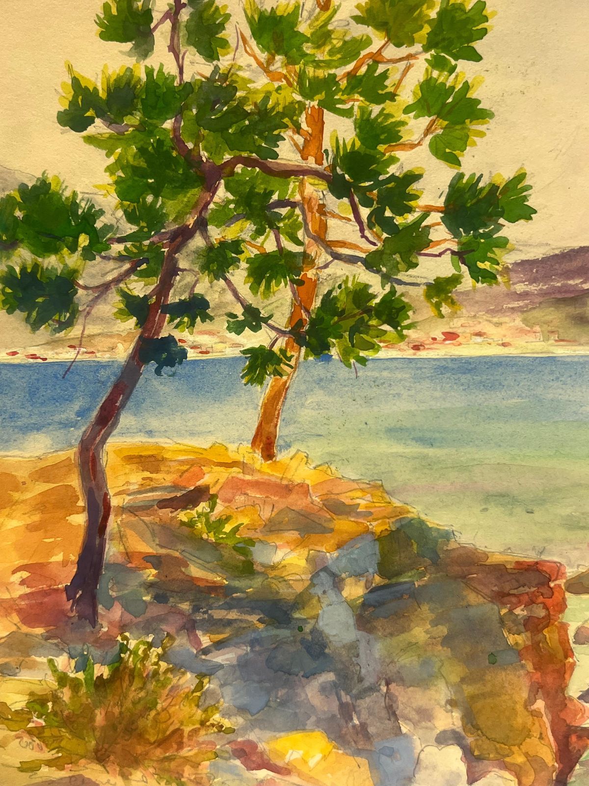 Regine Davidmediterranean Coastline With Pine Tree And Sailboat St Tropez Landscape1937 photo 402.0