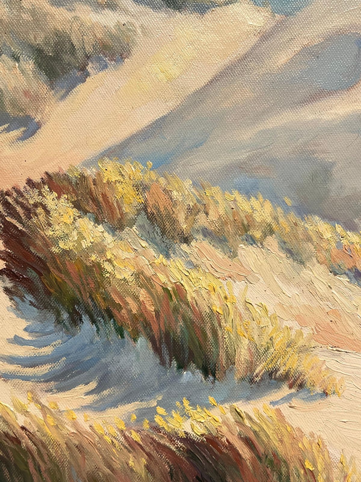 Georges Bordonovecoastal Sand Dunes Landscape Sunlit Impressionist French Oil Painting photo 700.0
