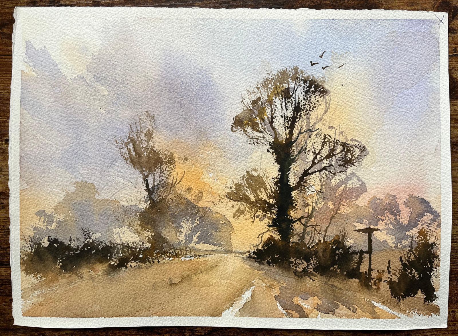 Anthony Averybritish Impressionist Watercolor Landscape Of Trees At Sunrise photo for sale
