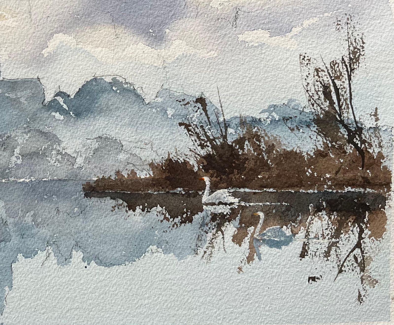 Anthony Avery British Watercolor Of A Riverside Silhouette With Reflections And A Swan photo Art