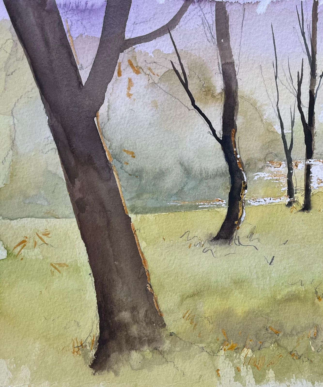 Anthony Avery British Watercolor Woodland Landscape With Bare Trees And Sunlit Clearing photo 465.0