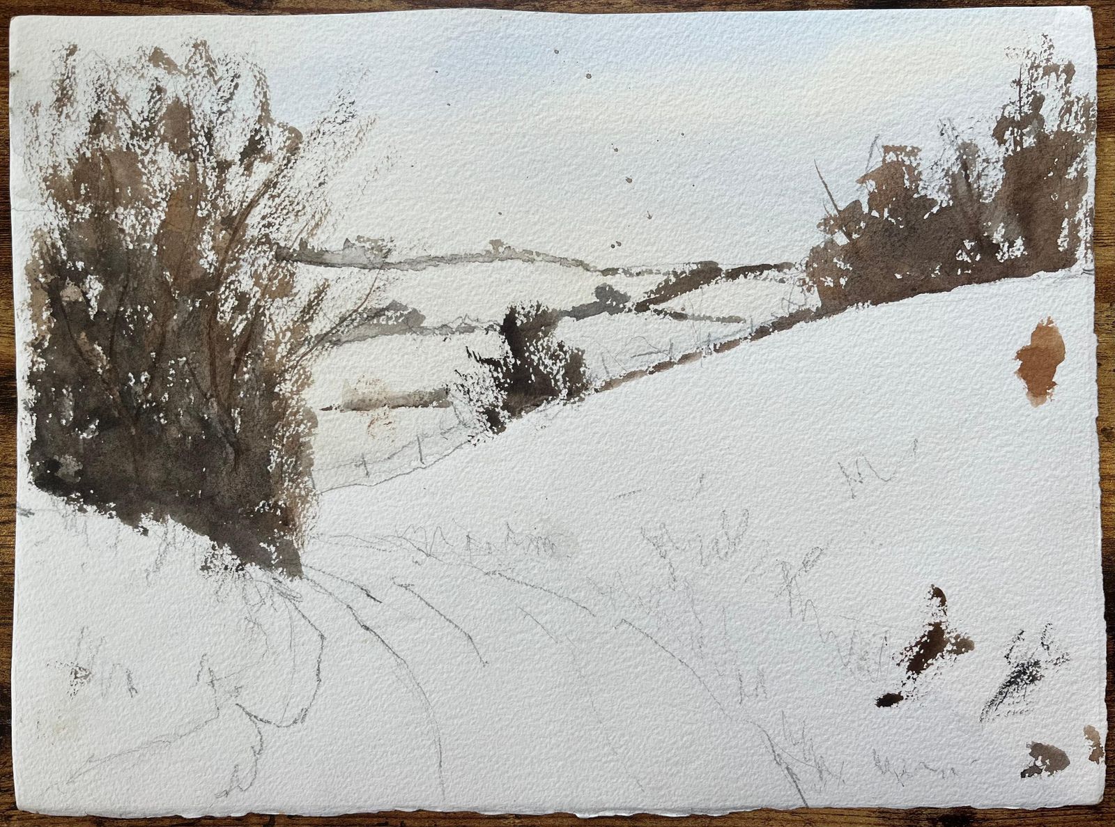 Anthony Avery British Impressionist Watercolor Of A Playful Canine In Motion photo vinterior
