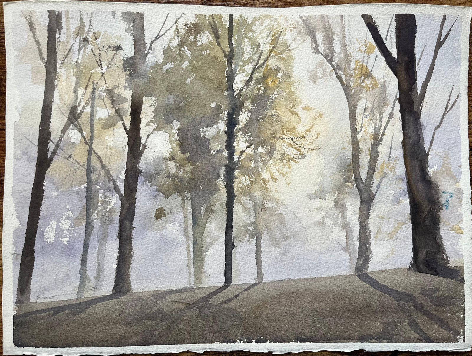Anthony Avery British Impressionist Watercolor Of A Misty Woodland Scene With Shadows photo furniture
