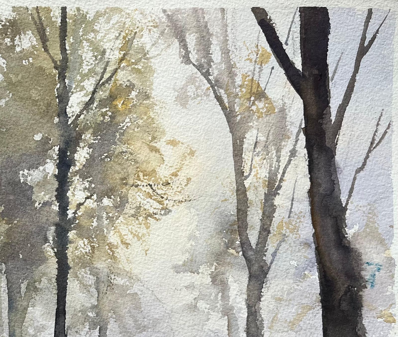 Anthony Avery British Impressionist Watercolor Of A Misty Woodland Scene With Shadows photo Art