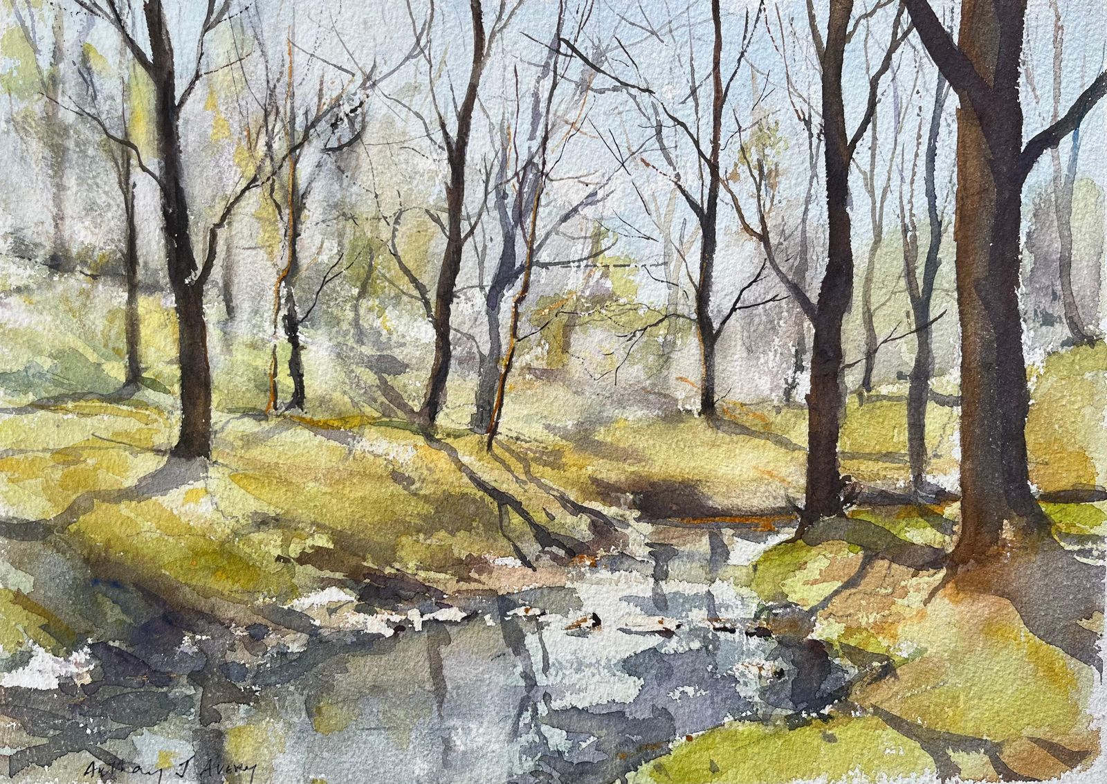 Anthony Avery British Impressionist Watercolor Of A Woodland Stream In Early Spring