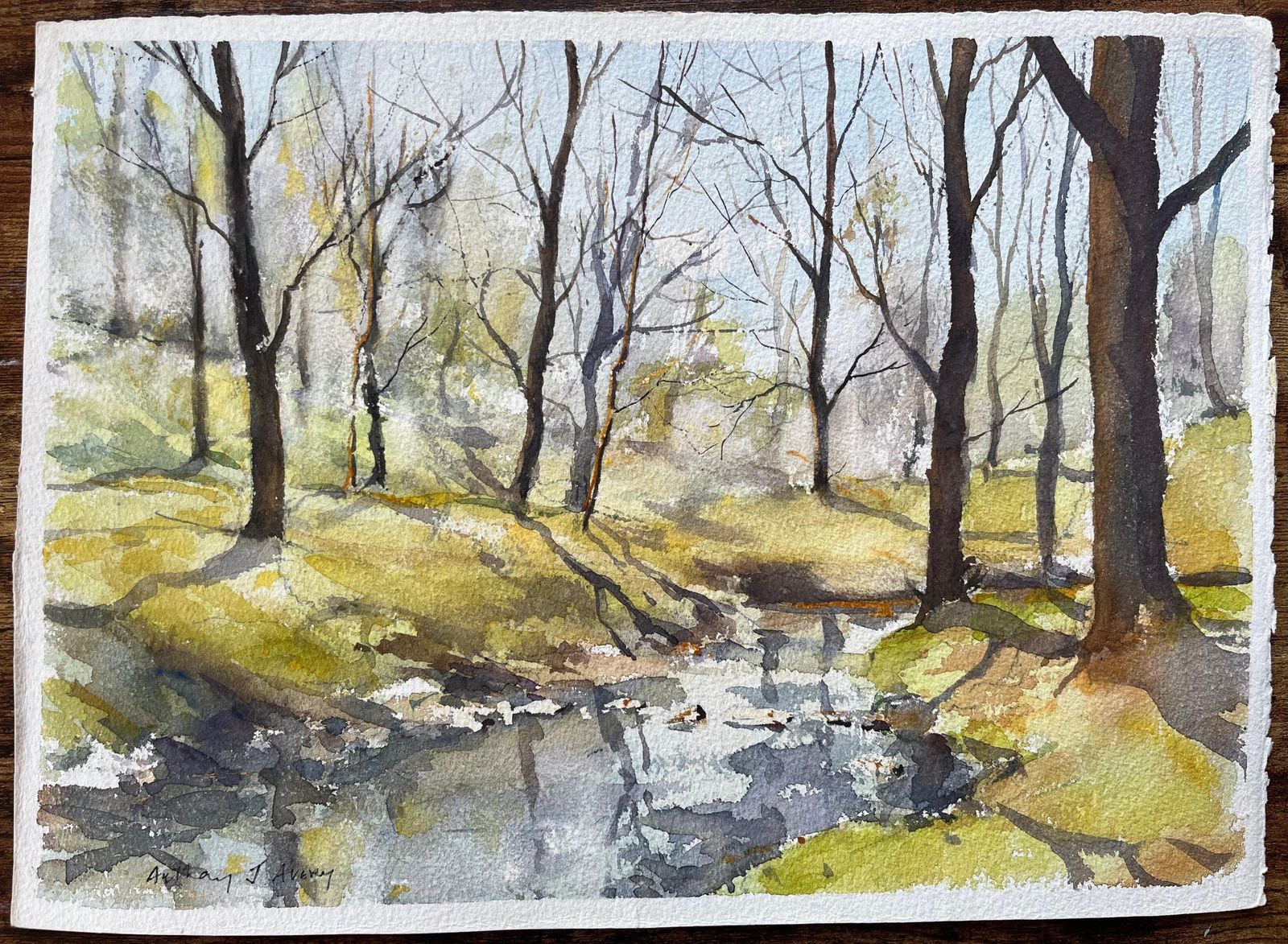 Anthony Avery British Impressionist Watercolor Of A Woodland Stream In Early Spring photo furniture