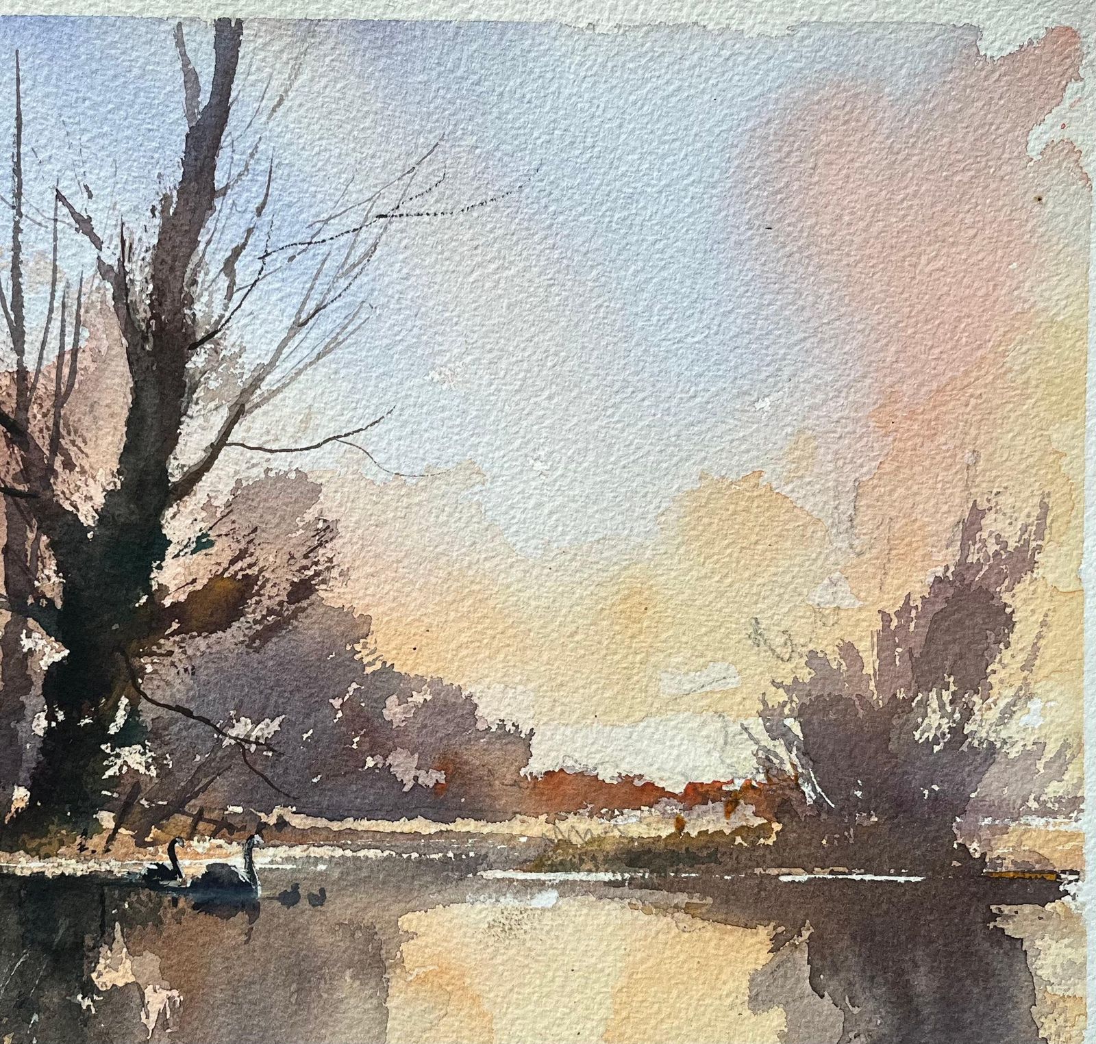 Anthony Avery British Impressionist Watercolor Of Swans At Dusk By A Riverside Tree photo vinterior