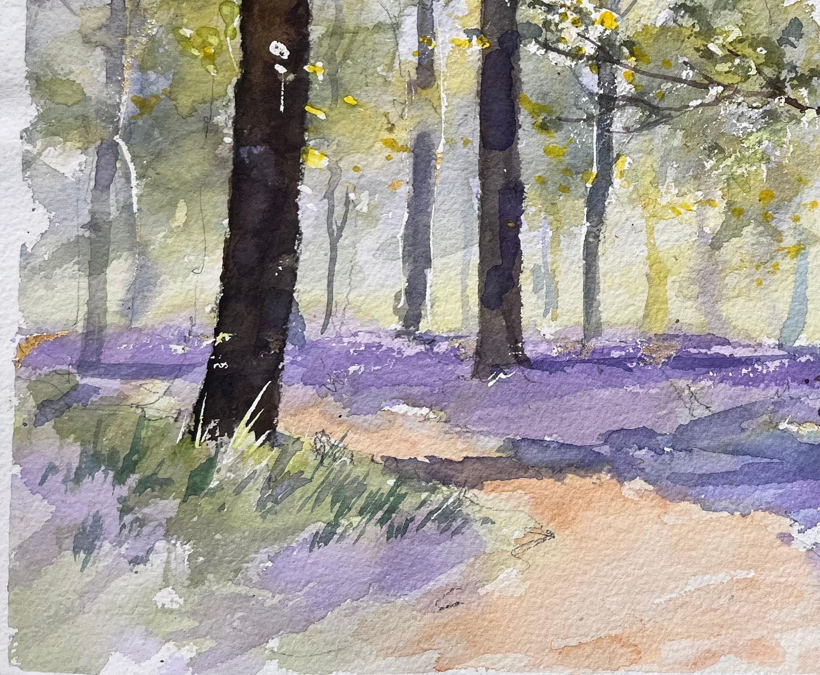 Anthony Avery British Impressionist Watercolor Of A Sunlit Woodland Scene With Bluebells photo 345.0