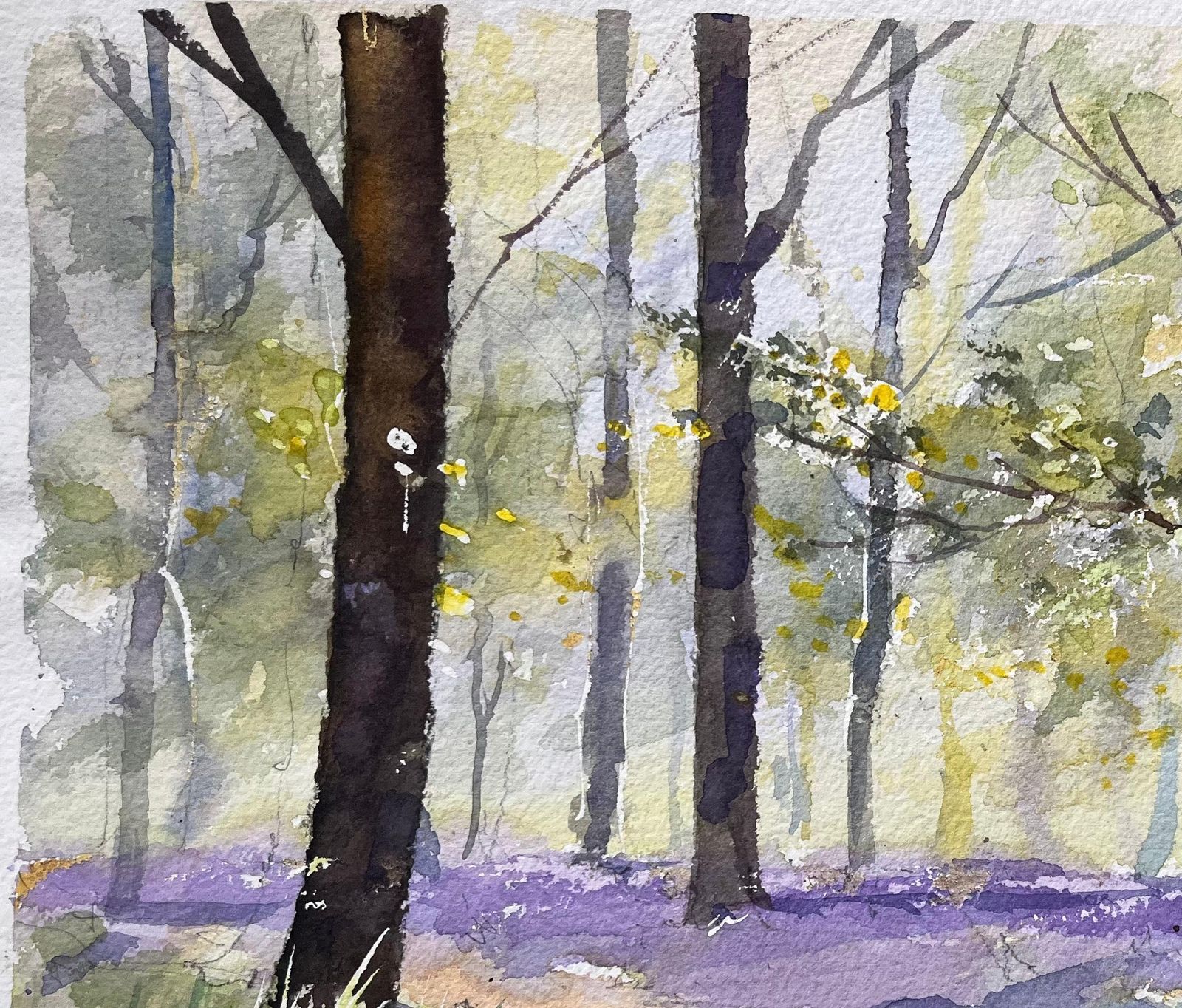 Anthony Avery British Impressionist Watercolor Of A Sunlit Woodland Scene With Bluebells photo vinterior