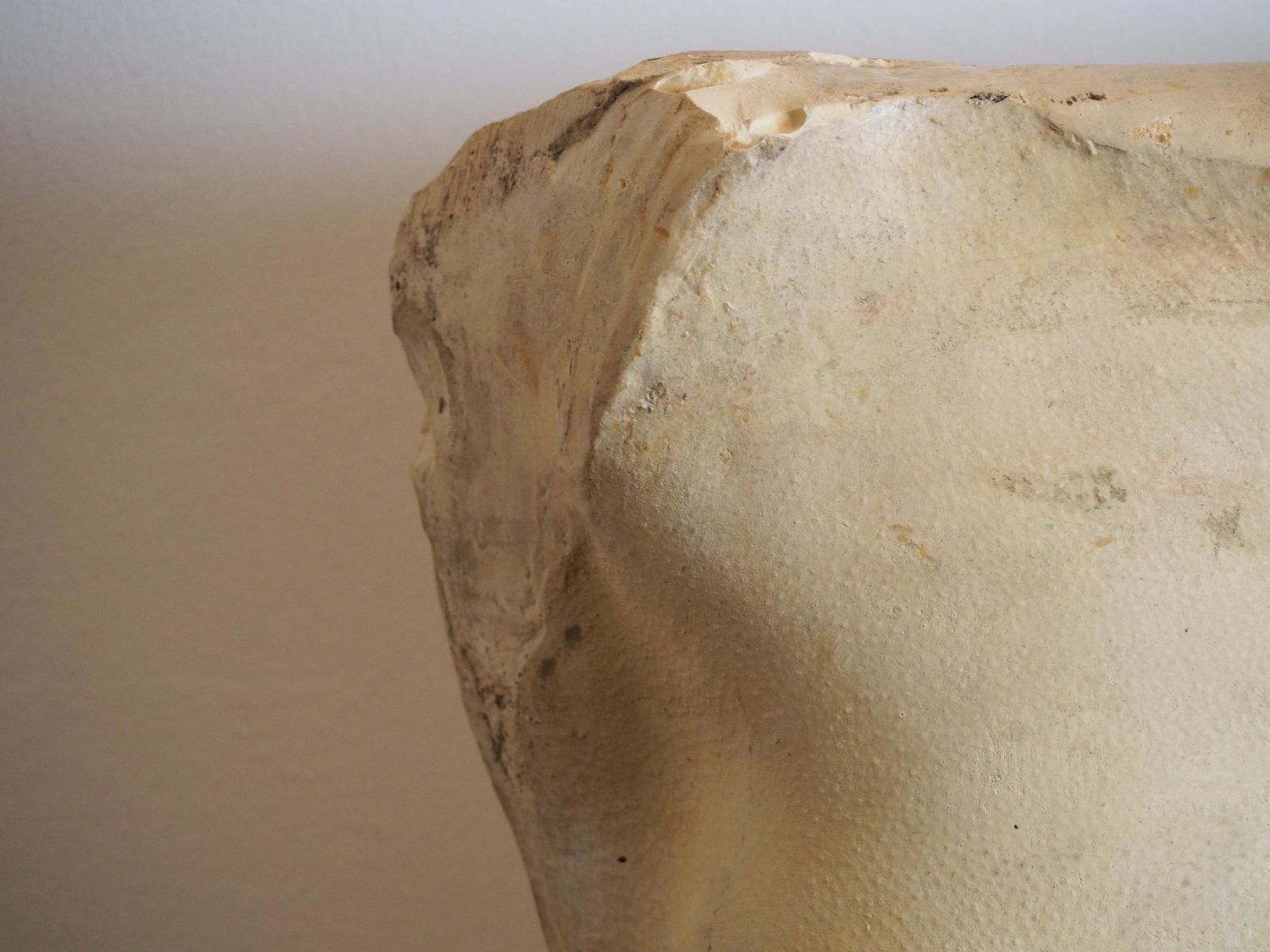 Vintage Cast Of Female Torso By Christopher Tucker Film Maker / Film Props / Sculpture photo Art