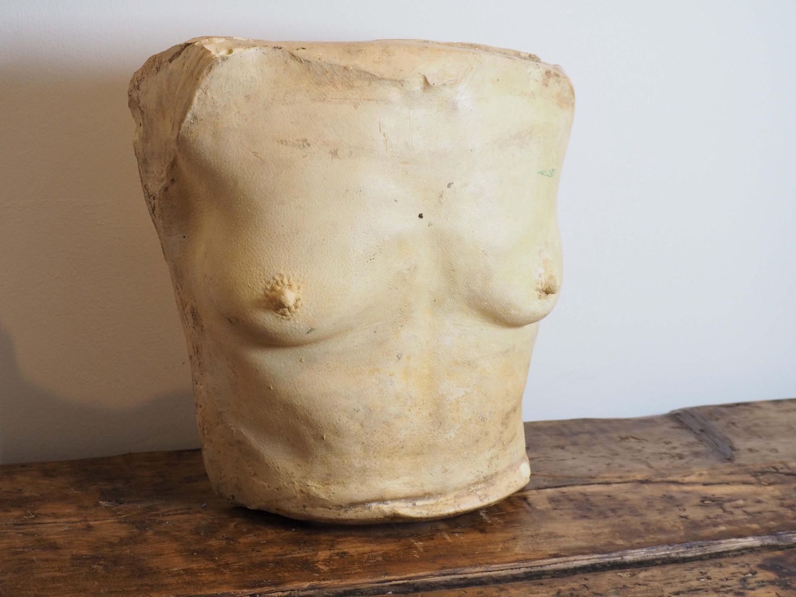 Vintage Cast Of Female Torso By Christopher Tucker Film Maker / Film Props / Sculpture photo buy