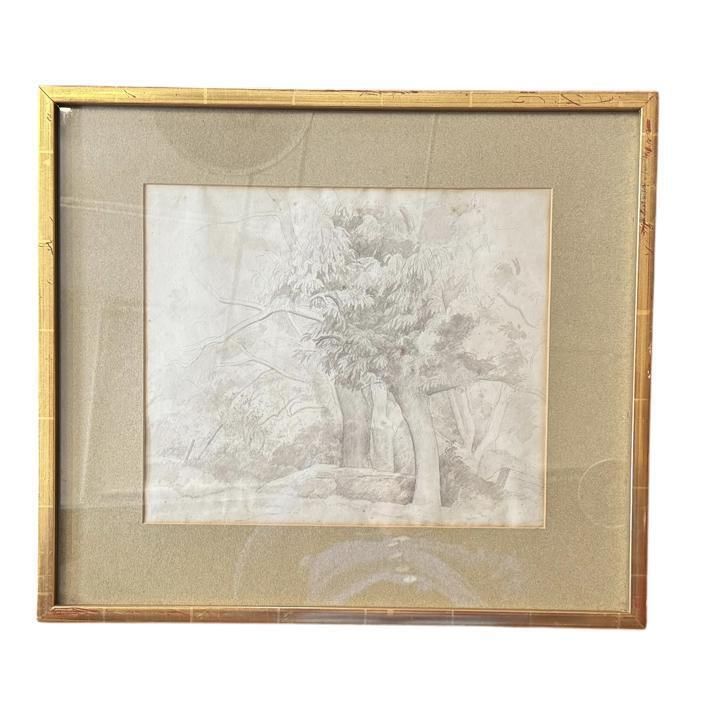 Percy Horton Ma Rba Arca (1897 1970) Framed Sketch 'Study Of Trees'