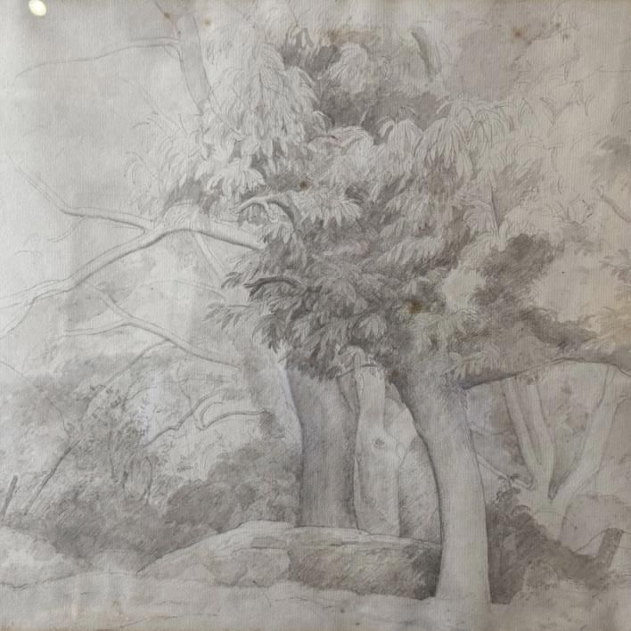 Percy Horton Ma Rba Arca (1897 1970) Framed Sketch 'Study Of Trees' photo furniture