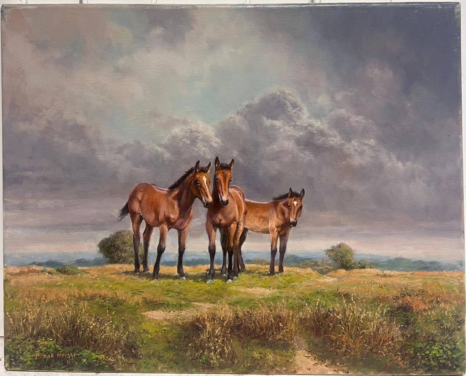 Frank Wright Ponies On Dartmoor Vintage 20th Century English Signed Oil Painting photo furniture