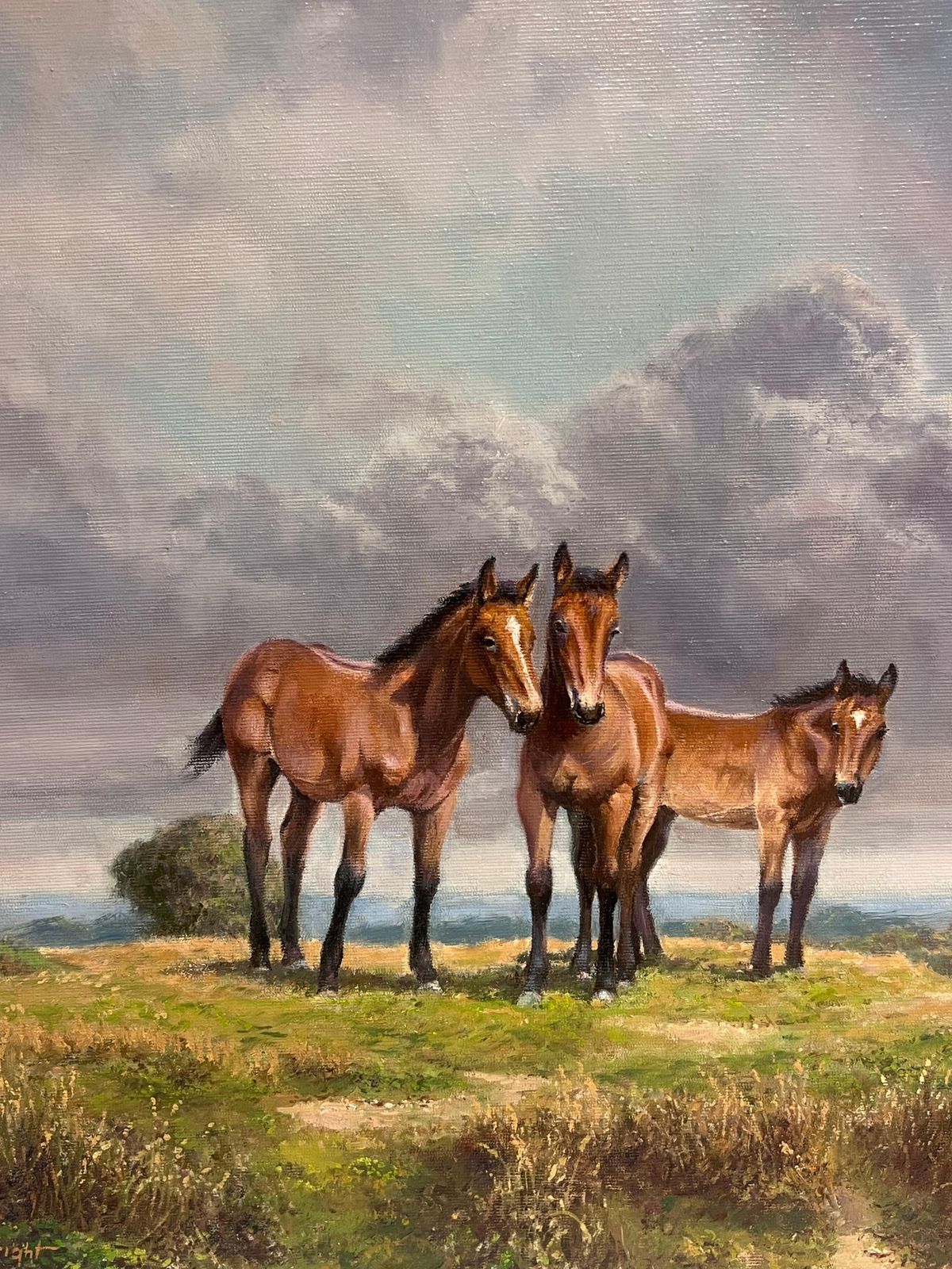 Frank Wright Ponies On Dartmoor Vintage 20th Century English Signed Oil Painting photo for sale
