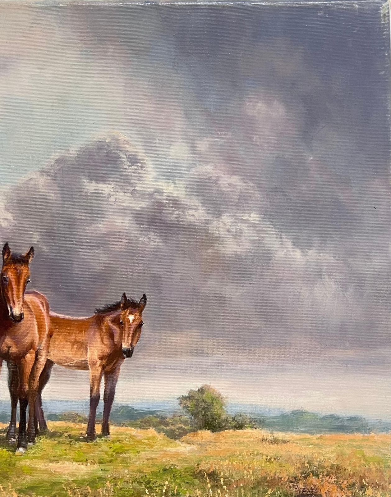 Frank Wright Ponies On Dartmoor Vintage 20th Century English Signed Oil Painting photo 1200.0