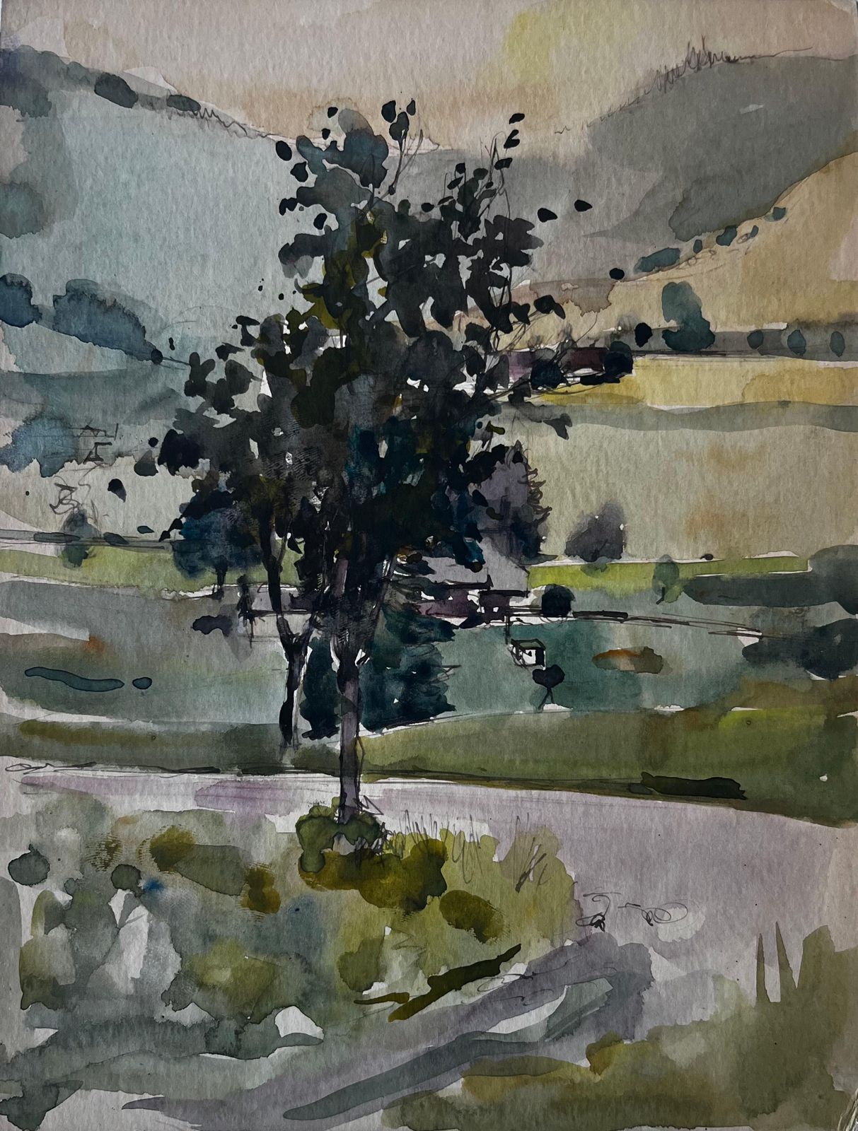 Pierre Neveu Tree In Mountain Valley French Landscape Watercolour By Pierre Neveu
