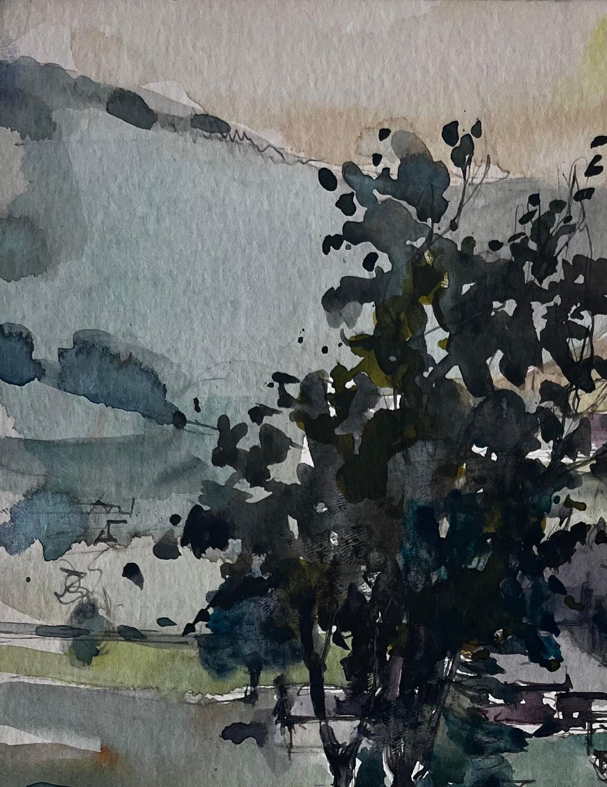 Pierre Neveu Tree In Mountain Valley French Landscape Watercolour By Pierre Neveu photo furniture