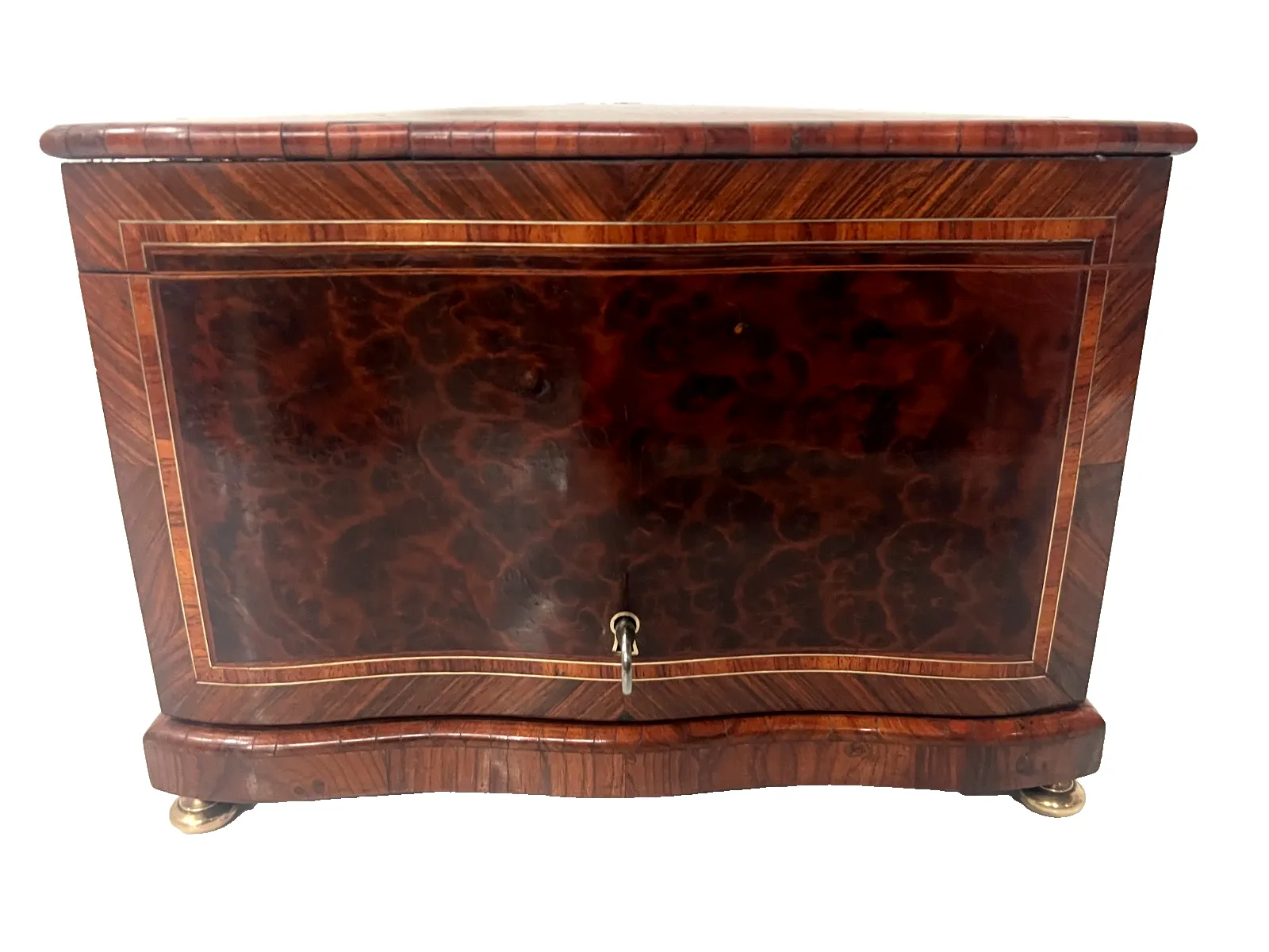 19th Century Cigar Box In Thuya Burl And Rosewood photo vinterior