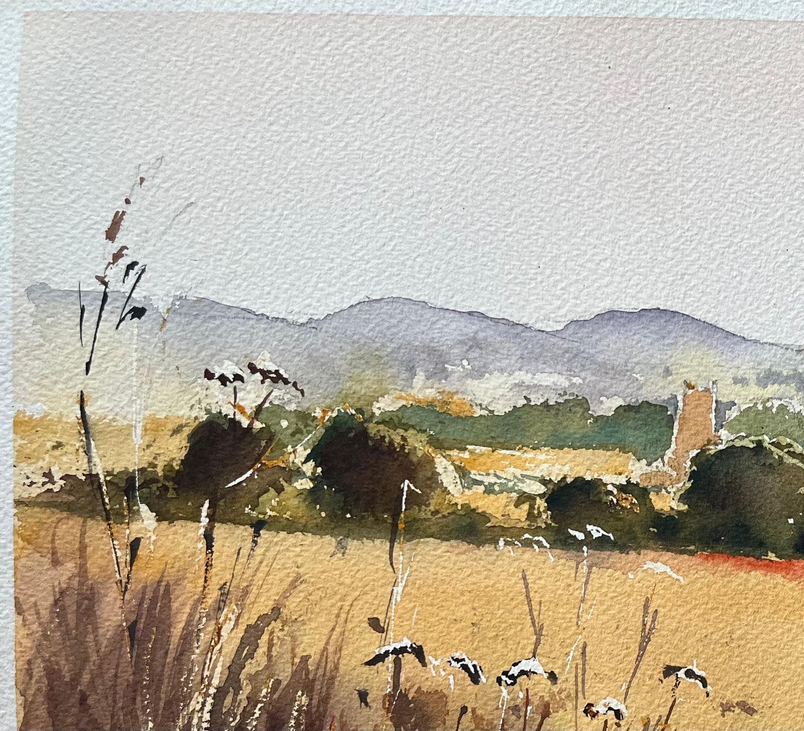 Anthony Avery British Impressionist Watercolor Of Summer Fields With Wildflowers And Church photo Art