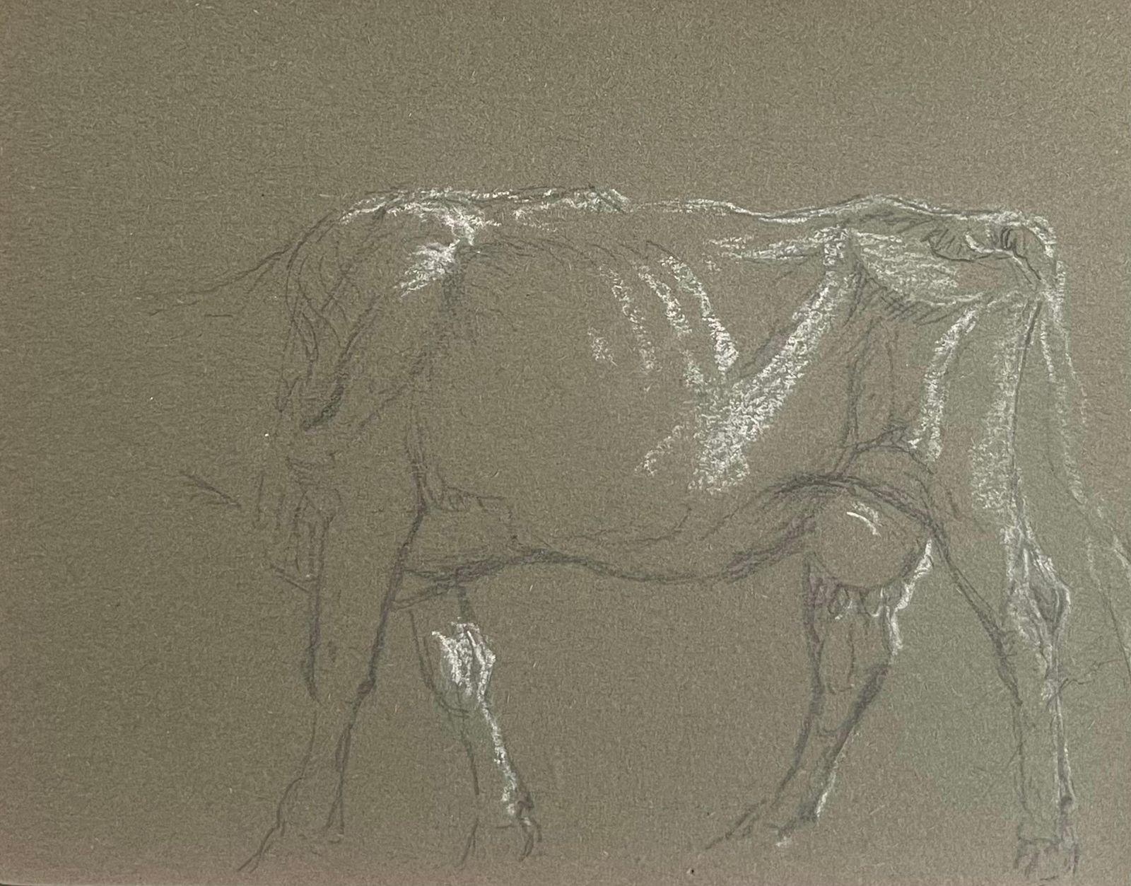 John Rabone Harvey British Chalk Pencil Sketch Of A Cow's Body With White Features 1966