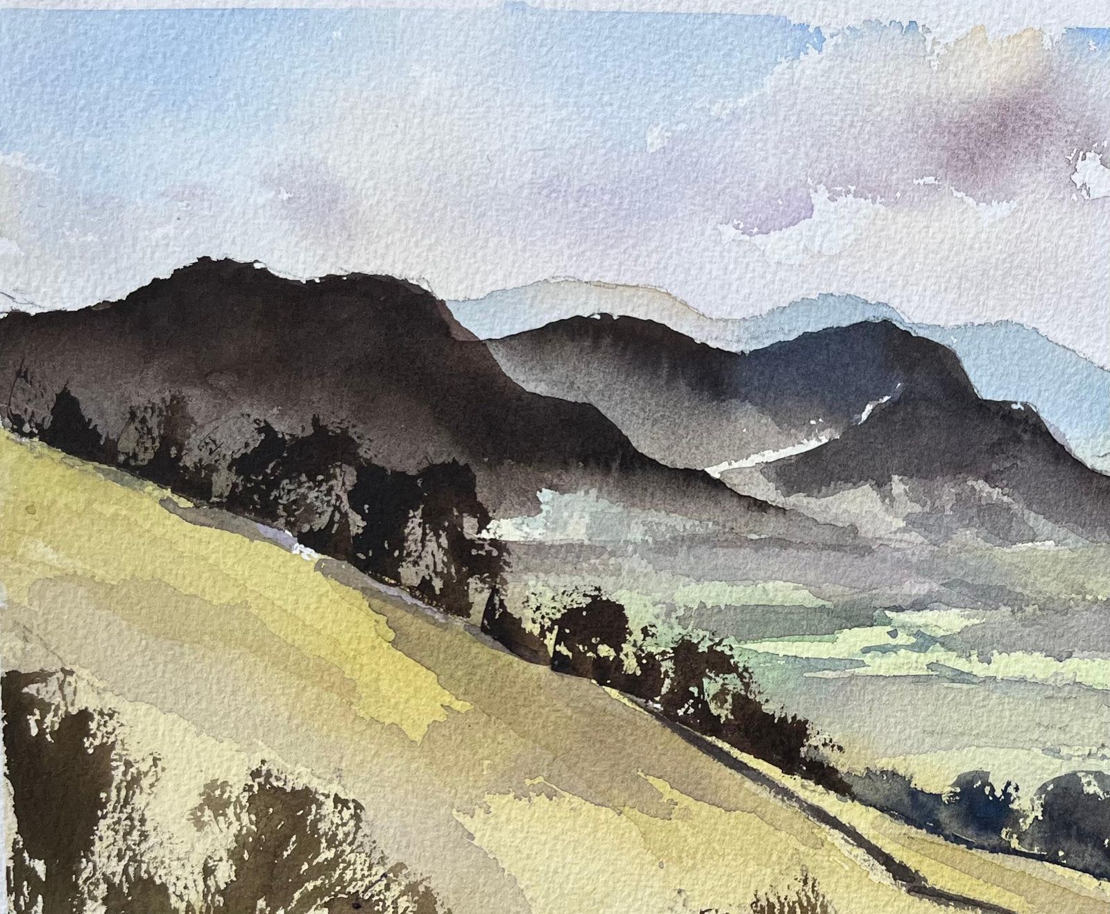 Anthony Avery British Impressionist Watercolor Of Borrowdale Valley In The Lake District photo vinterior