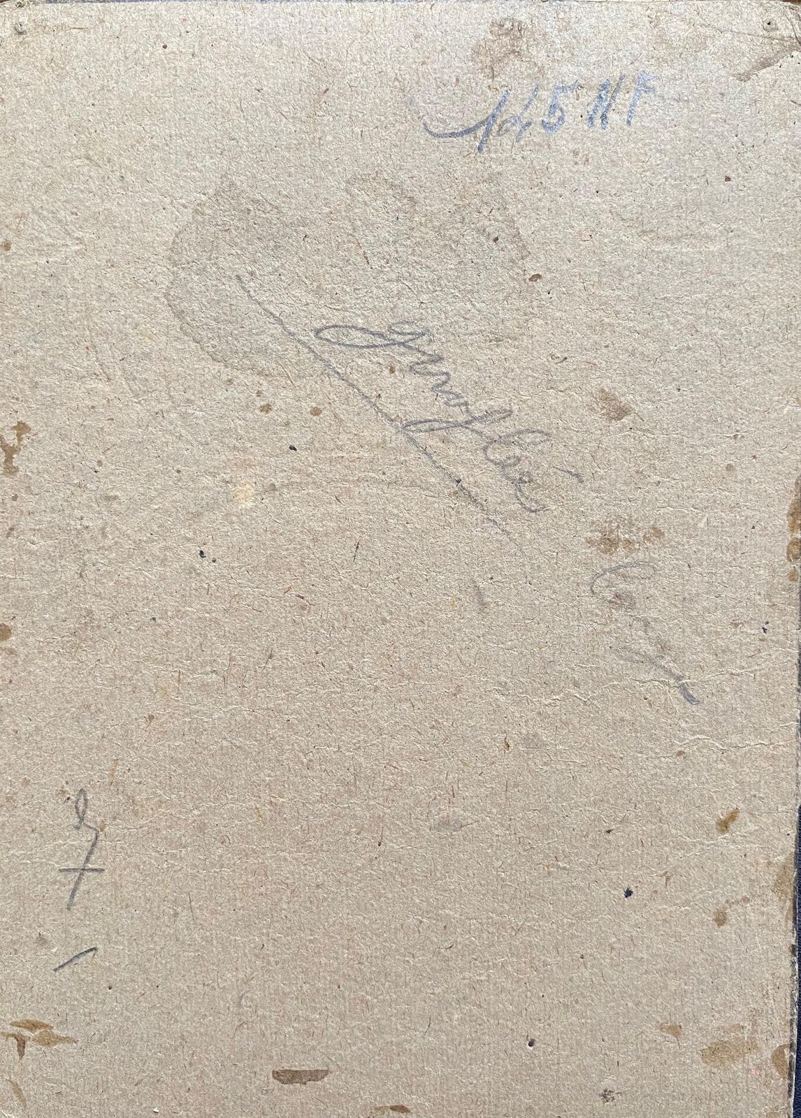 Early 1900's French Impressionist Signed Flower Watercolour By Marie Carreau Circa 1900s photo vinterior