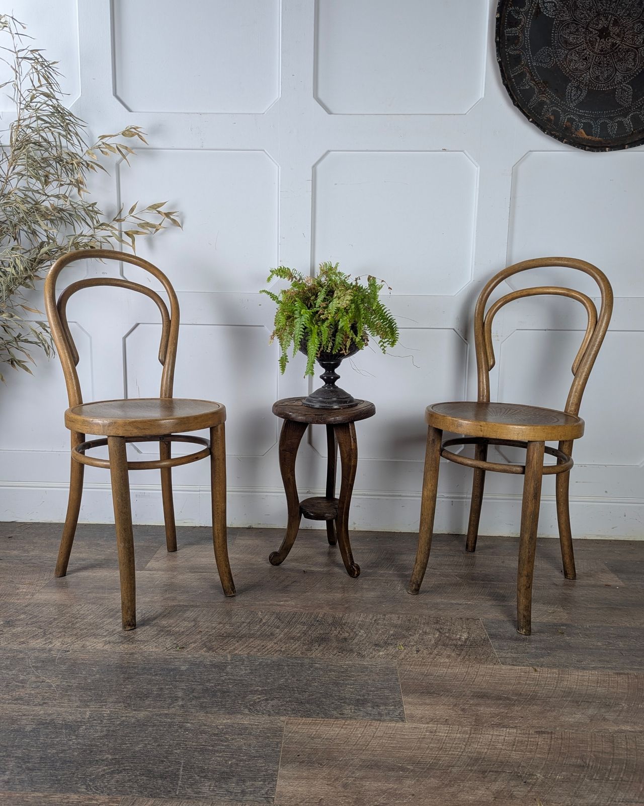 Pair Of Early 20th Century Thonet Bentwood Chairs photo furniture