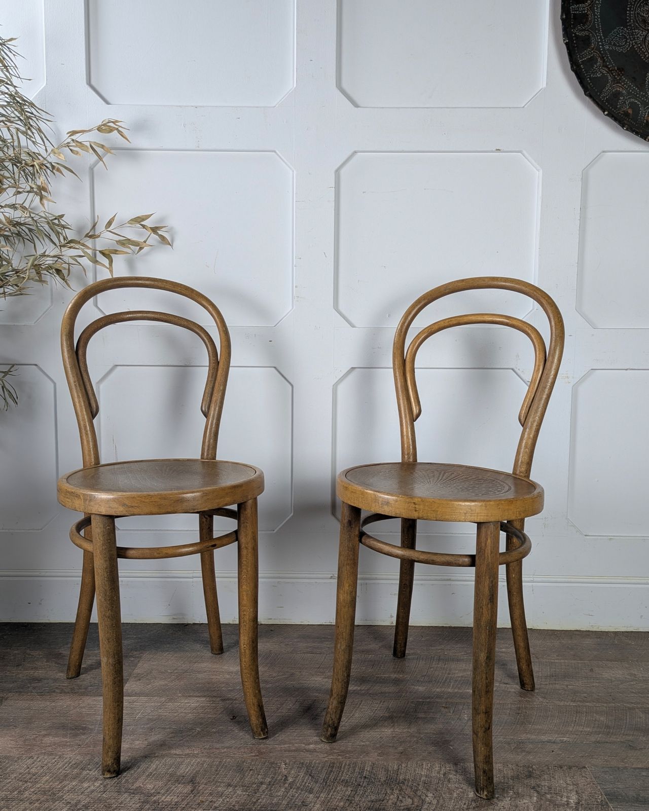 Pair Of Early 20th Century Thonet Bentwood Chairs photo for sale